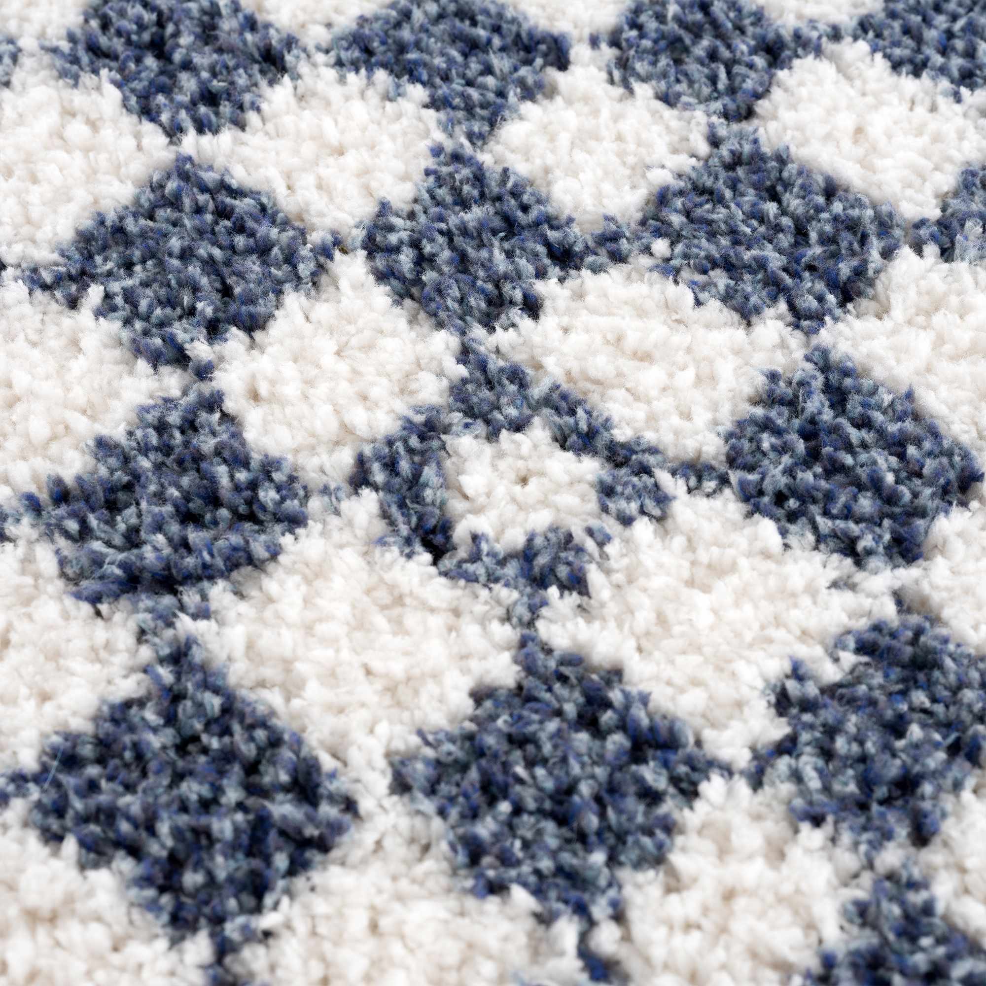 Kieu Blue & White Checkered Area Rug - Image 13