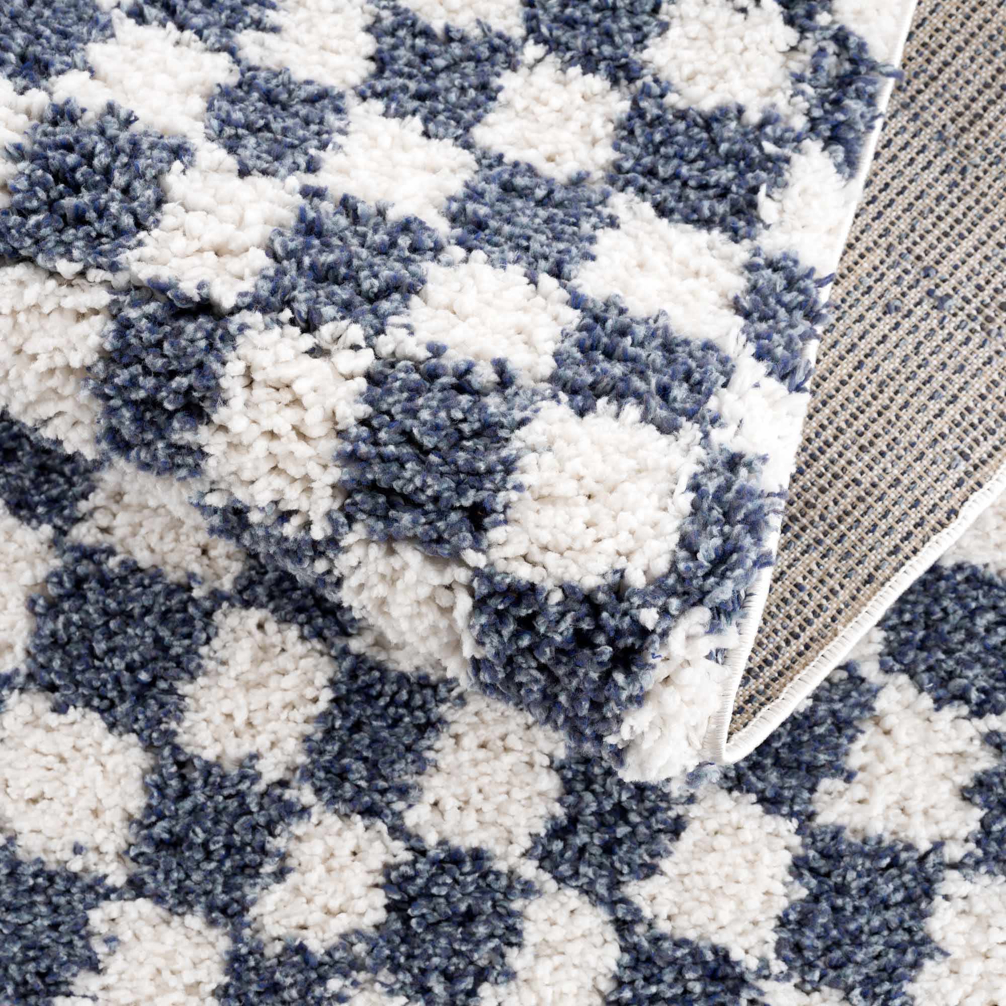 Kieu Blue & White Checkered Area Rug - Image 14