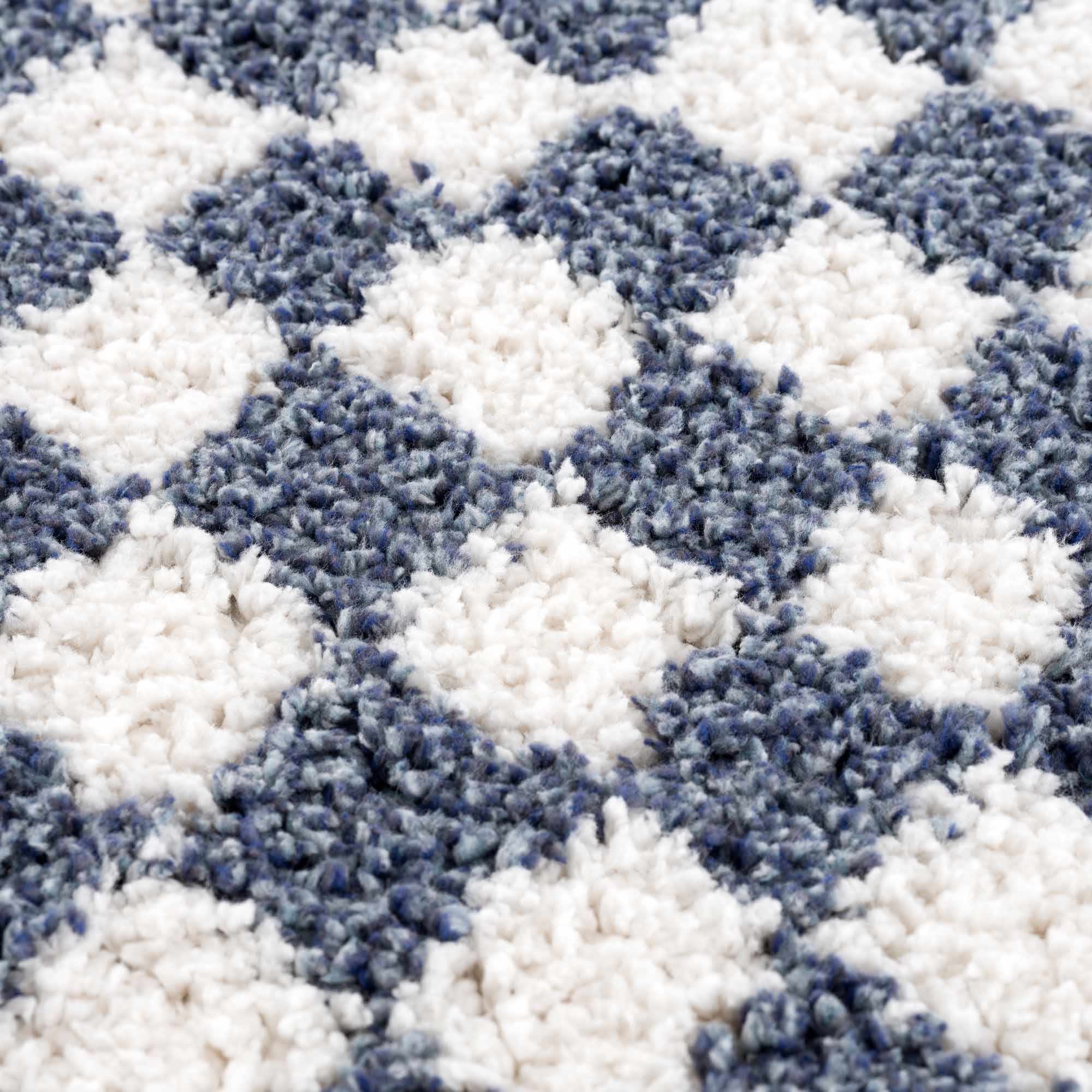 Kieu Blue & White Checkered Area Rug - Image 15