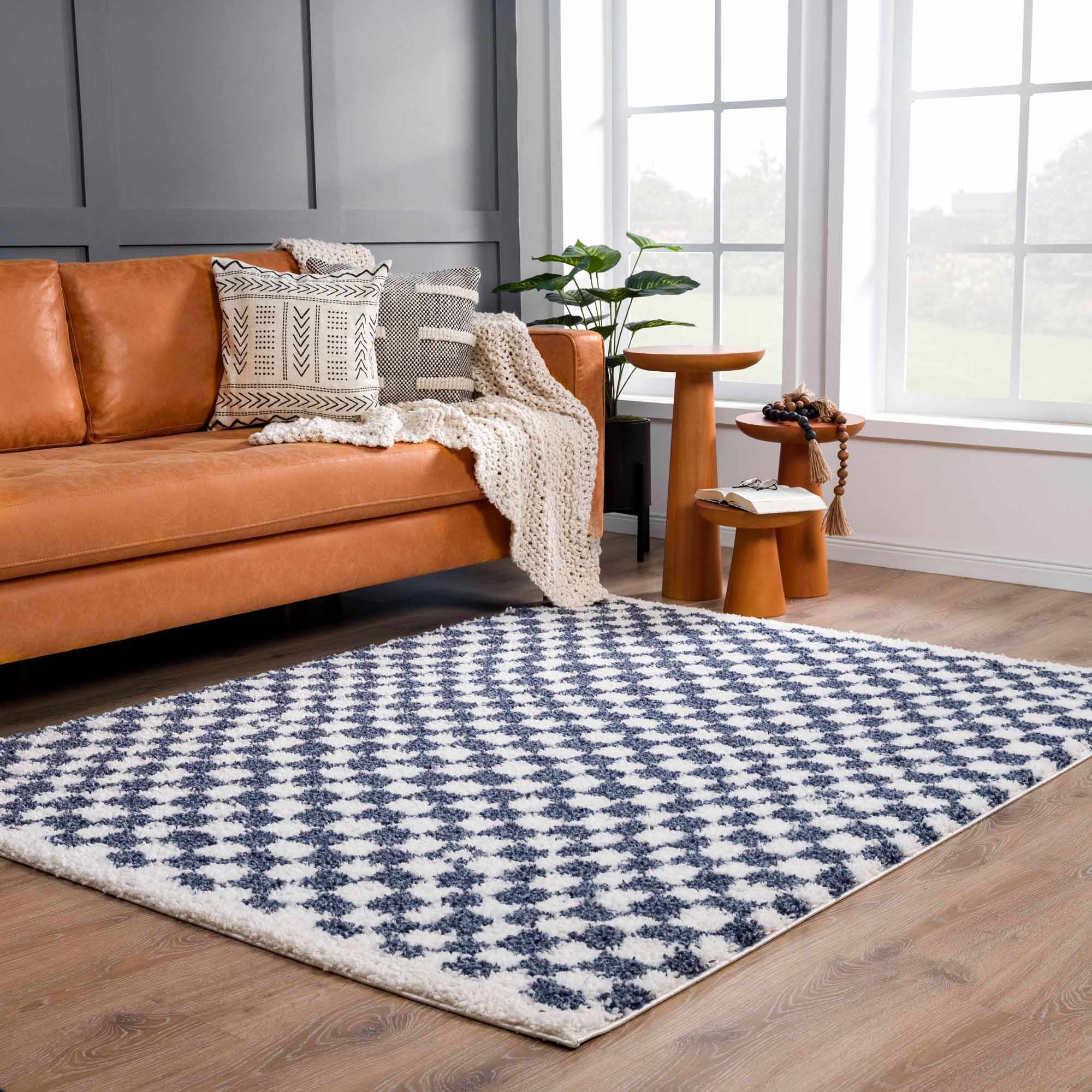 Kieu Blue & White Checkered Area Rug - Image 4