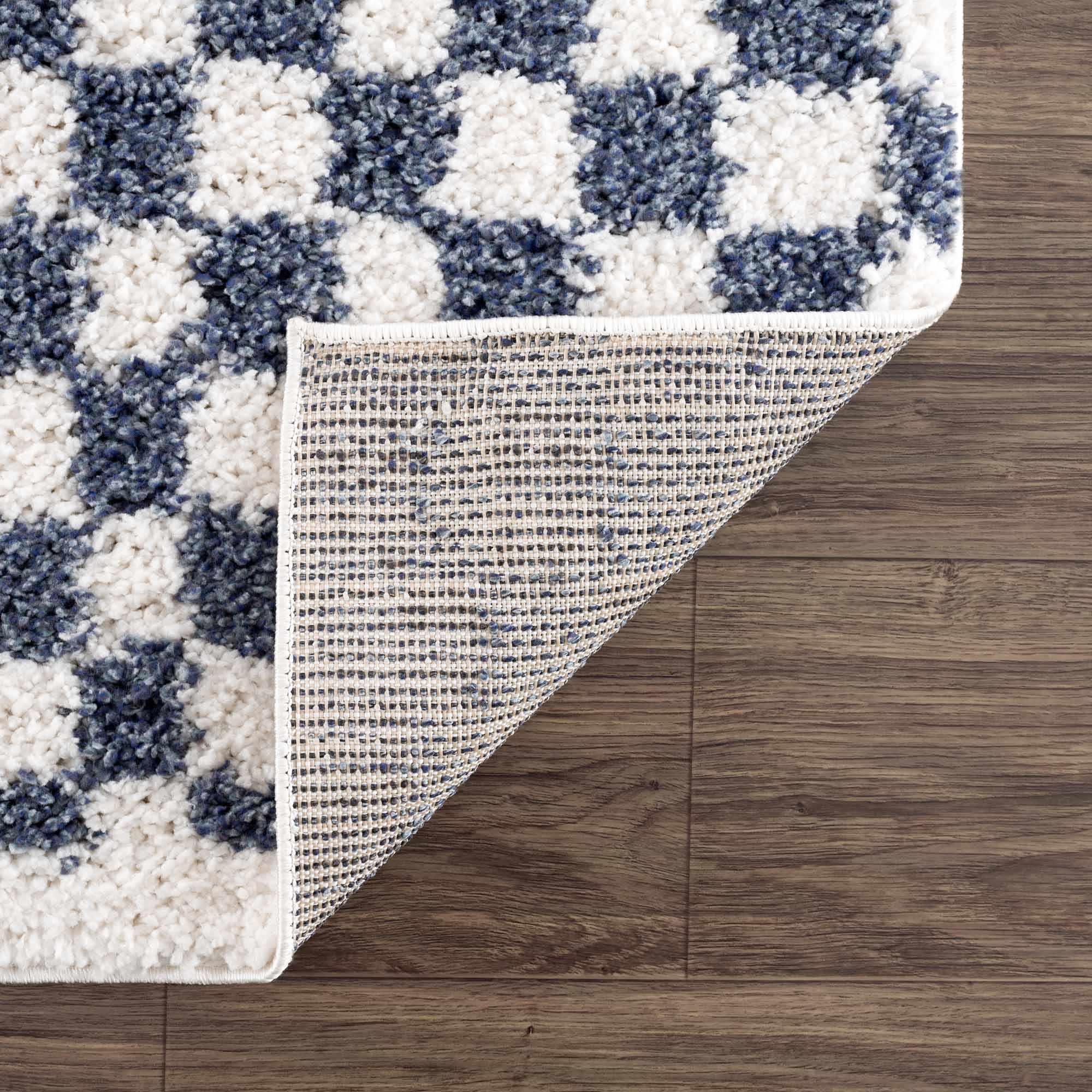 Kieu Blue & White Checkered Area Rug - Image 5