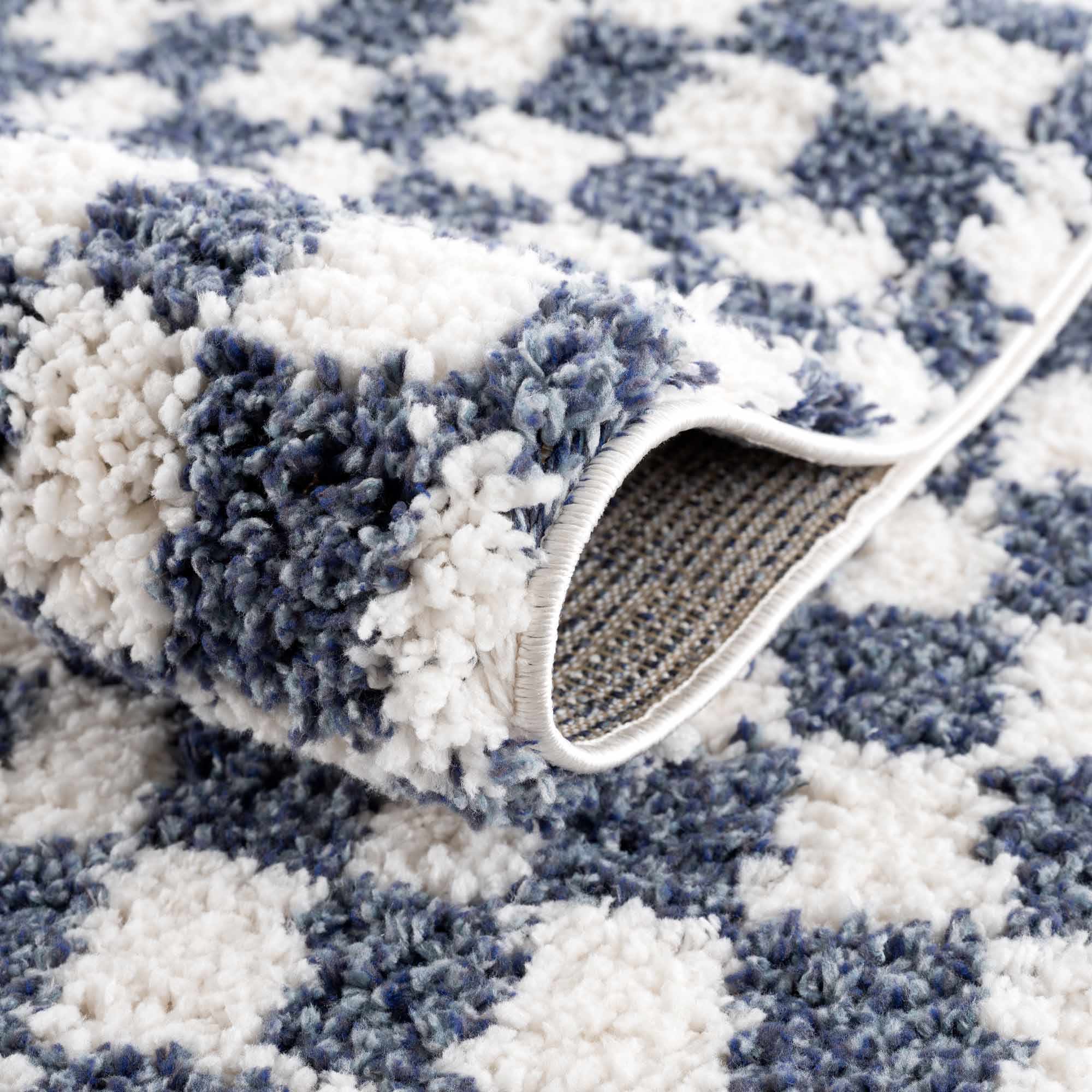 Kieu Blue & White Checkered Area Rug - Image 6