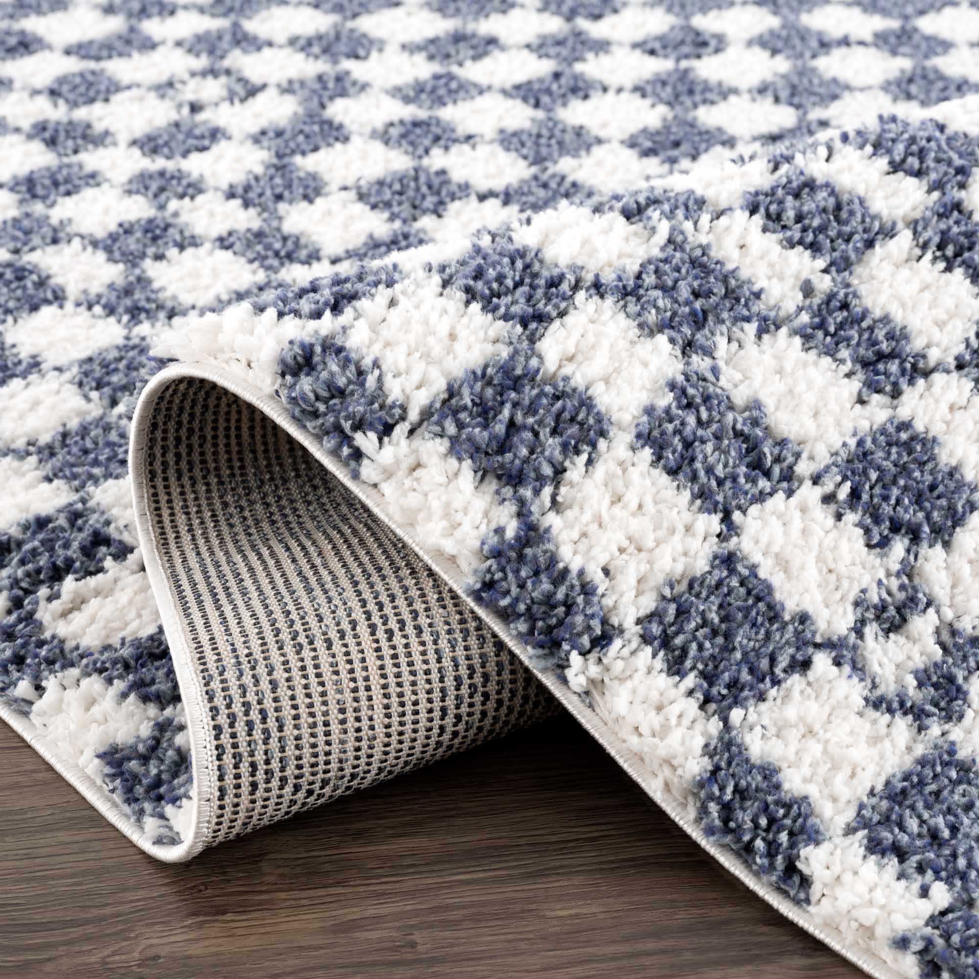Kieu Blue & White Checkered Area Rug - Image 7