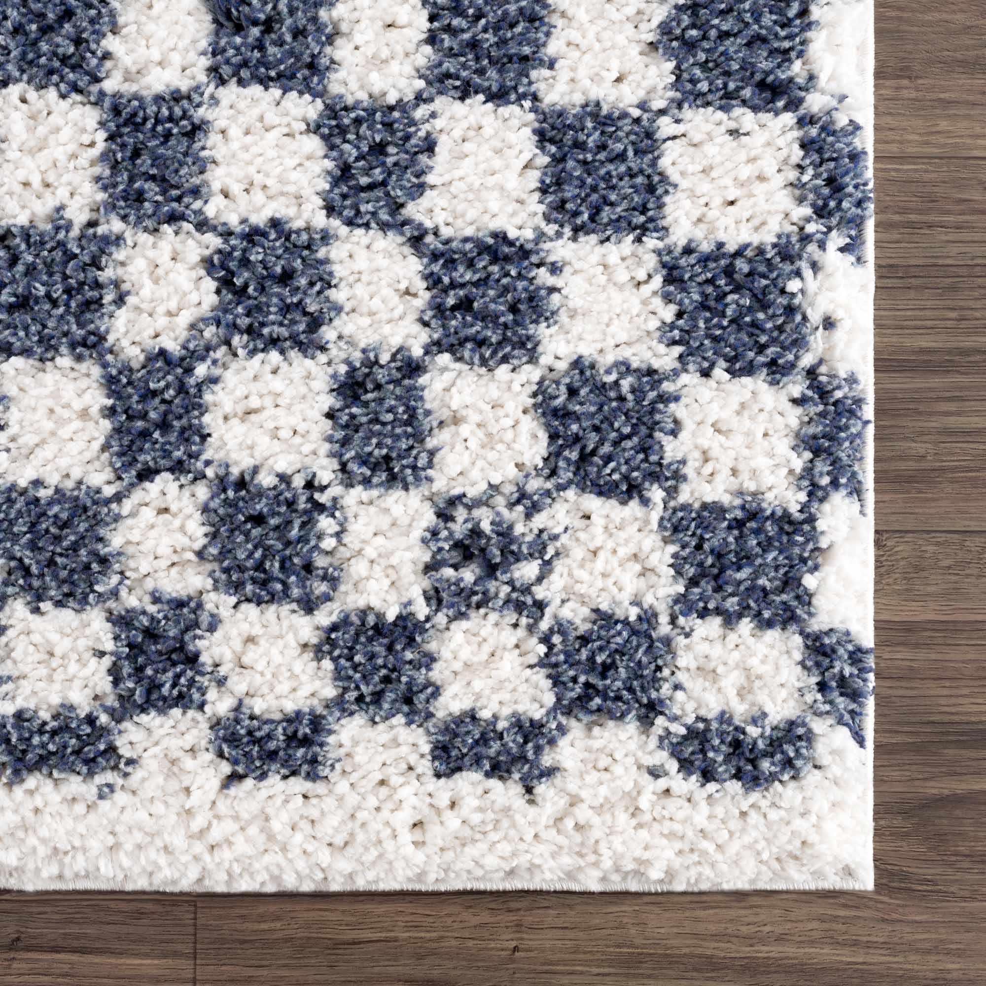 Kieu Blue & White Checkered Area Rug - Image 8
