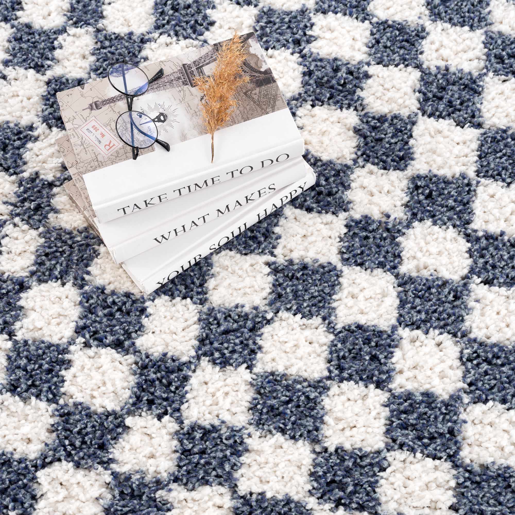 Kieu Blue & White Checkered Area Rug - Image 9