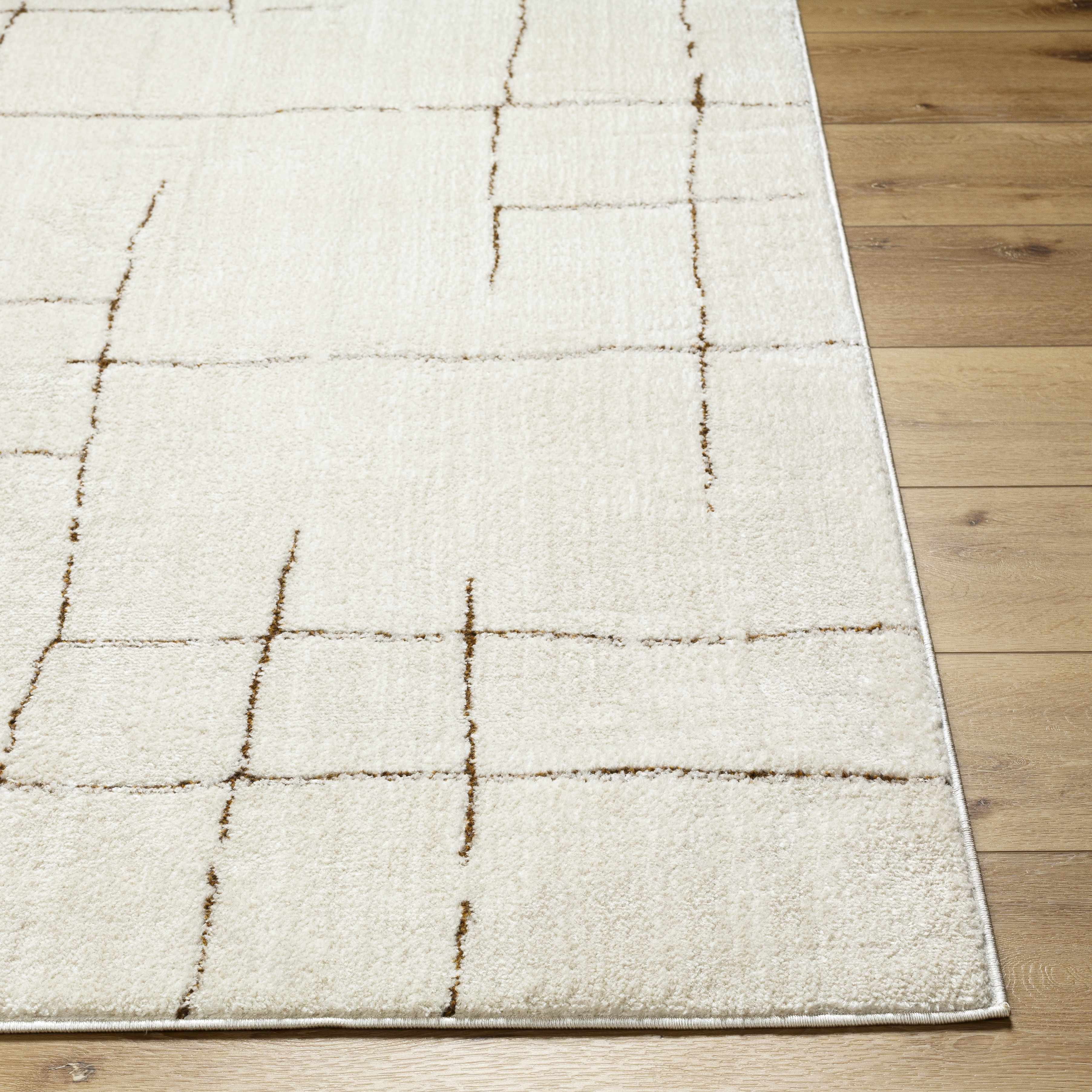 Koume Ivory & Brown Area Rug - Image 5