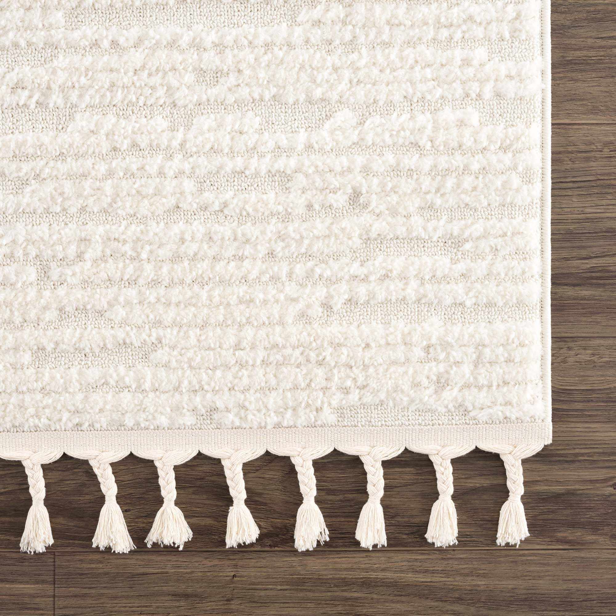 Kulu Textured Area Rug with Tassels - Image 9