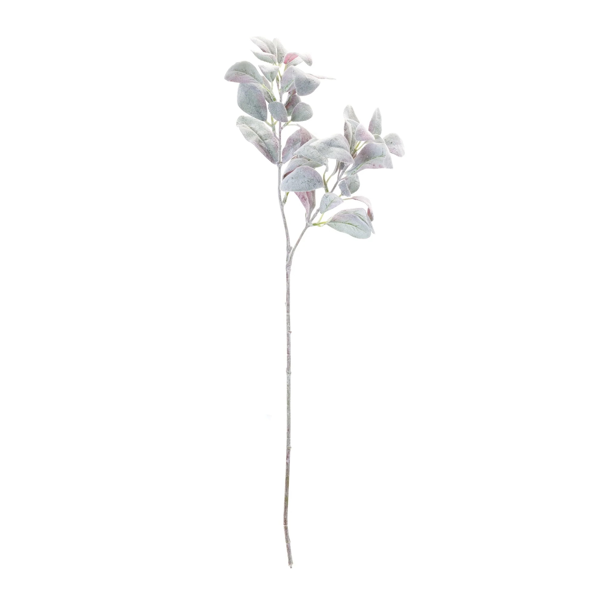 Lamb's Ear Leaf Bush (Set of 6) - Image 2