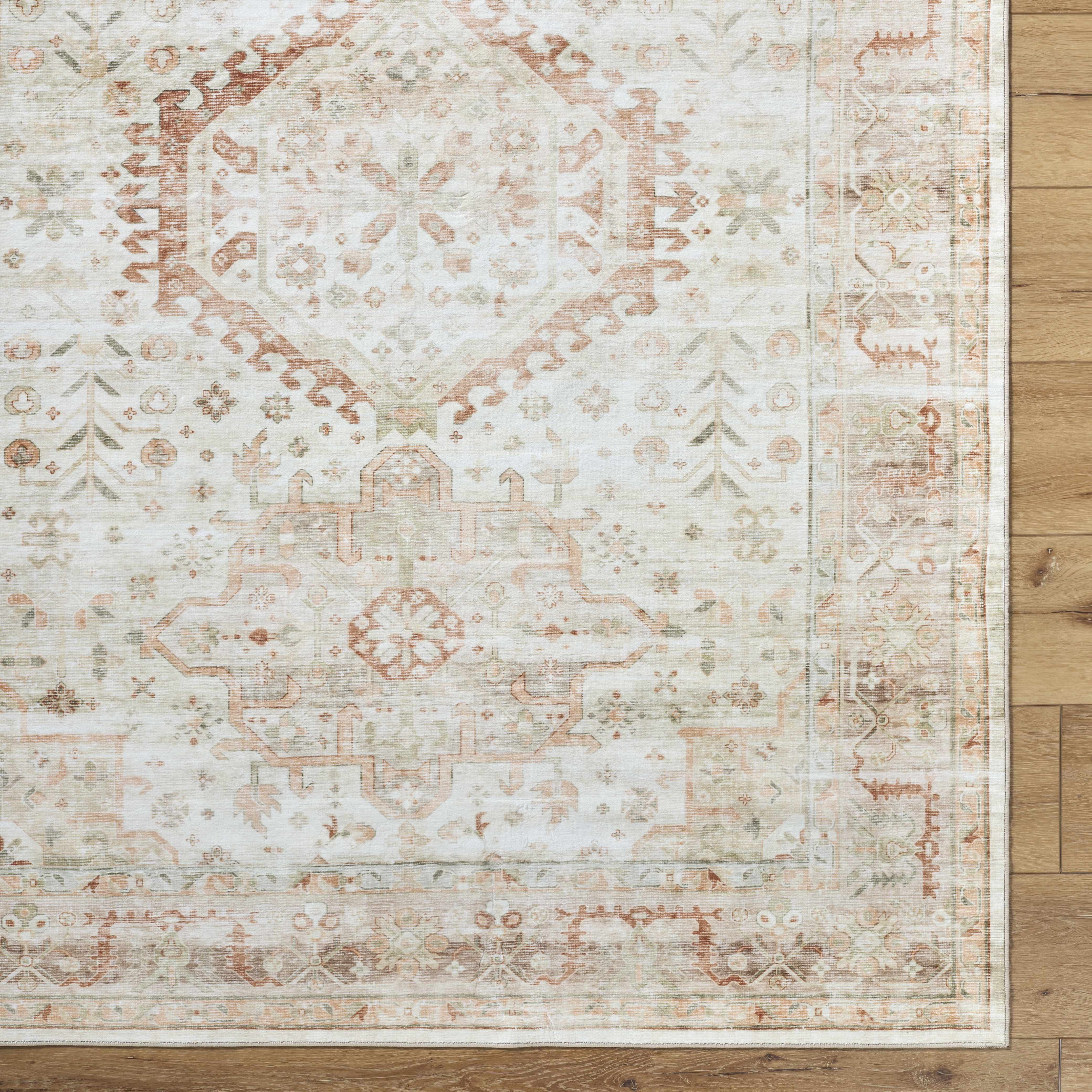 Laran Rust Distressed Washable Area Rug - Image 12