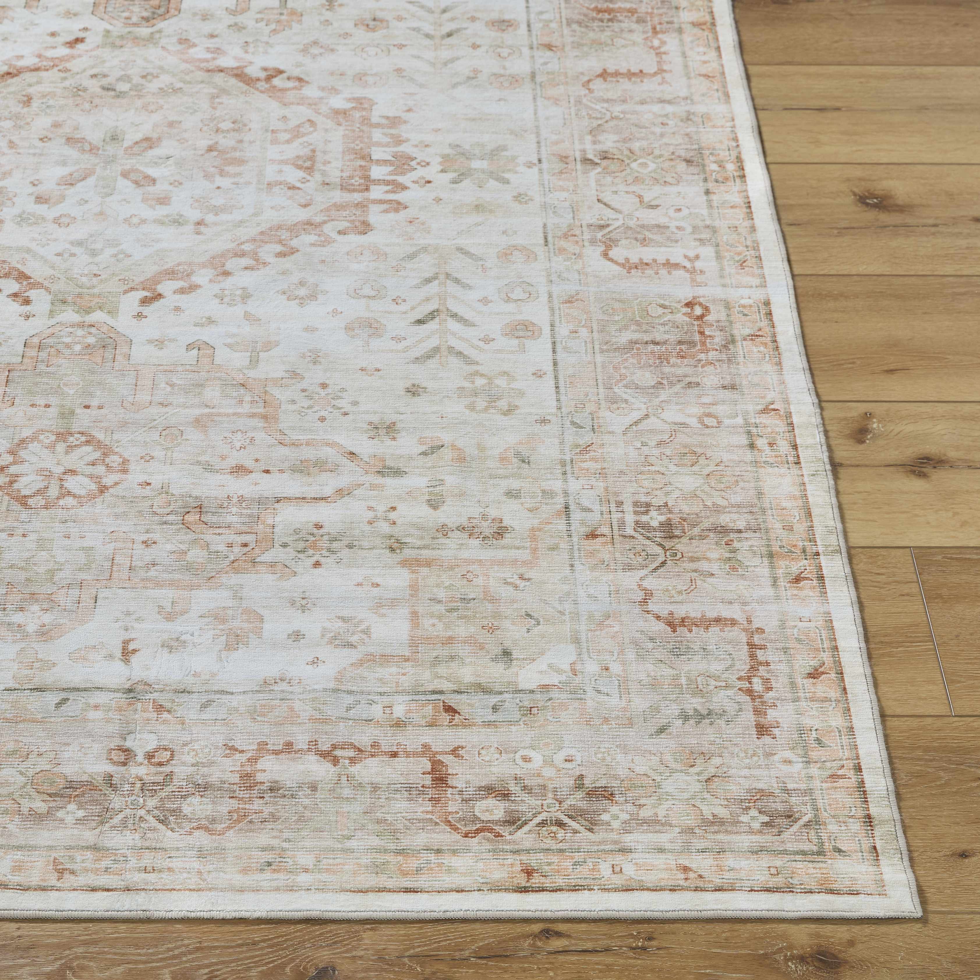 Laran Rust Distressed Washable Area Rug - Image 8