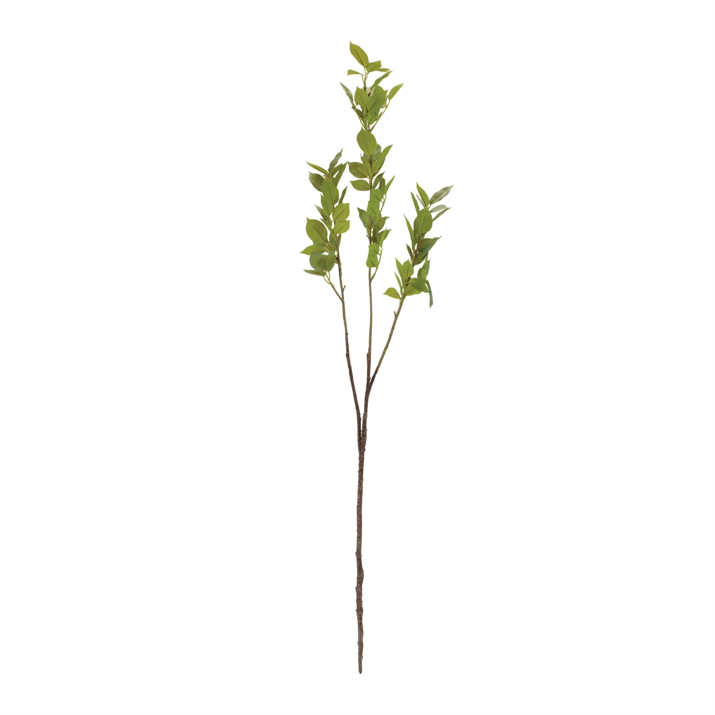 Leaf Foliage Branch (Set of 6) - Image 2