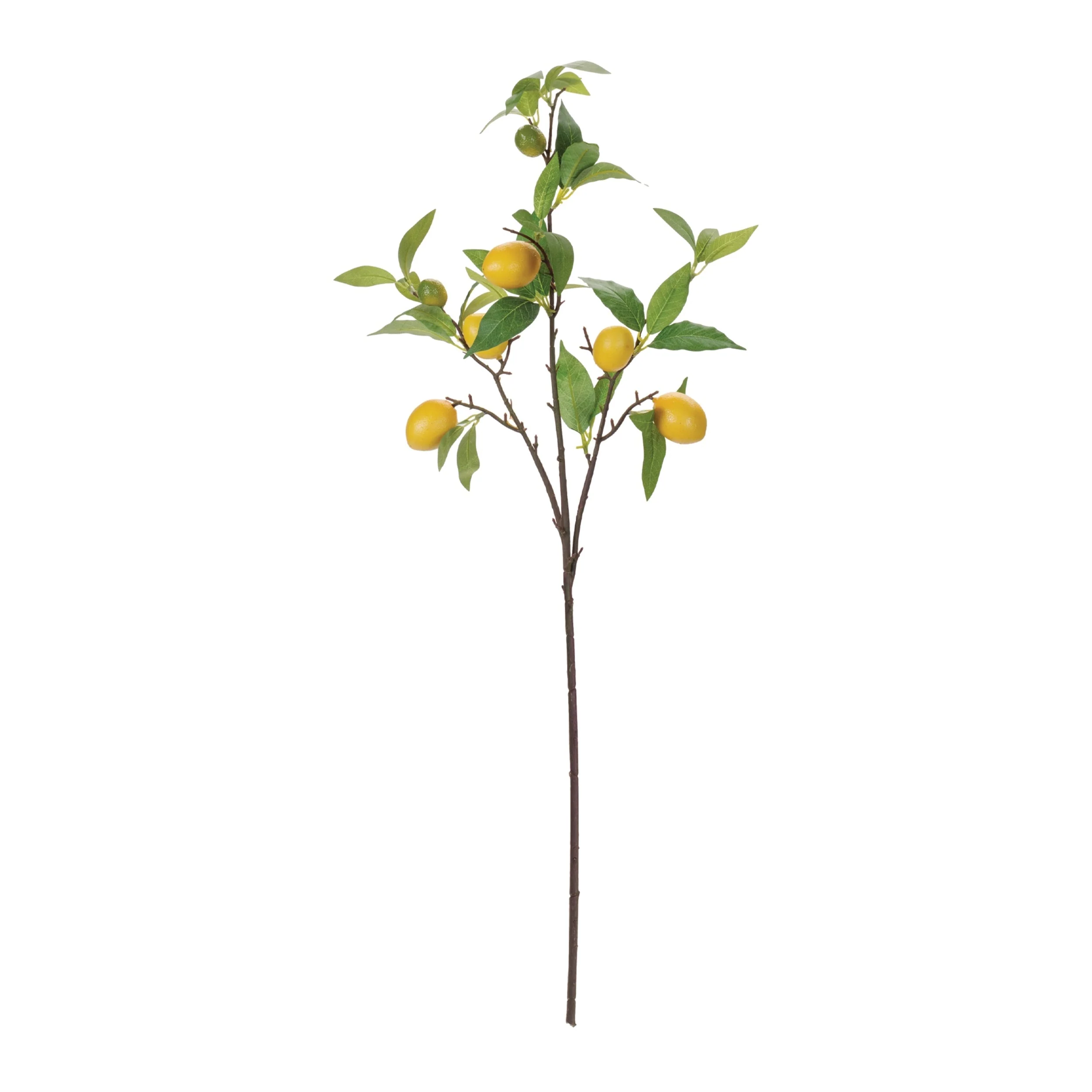 Lemon Fruit Foliage Branch (Set of 6) - Image 3