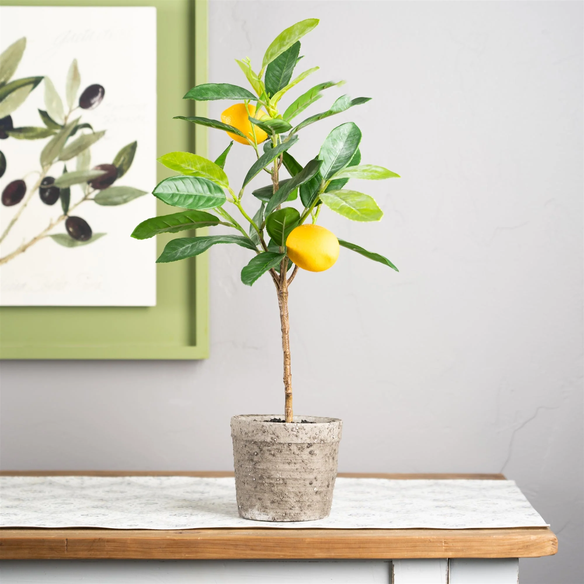 Lemon fruit silk tree with pot (set of 2) - Image 3