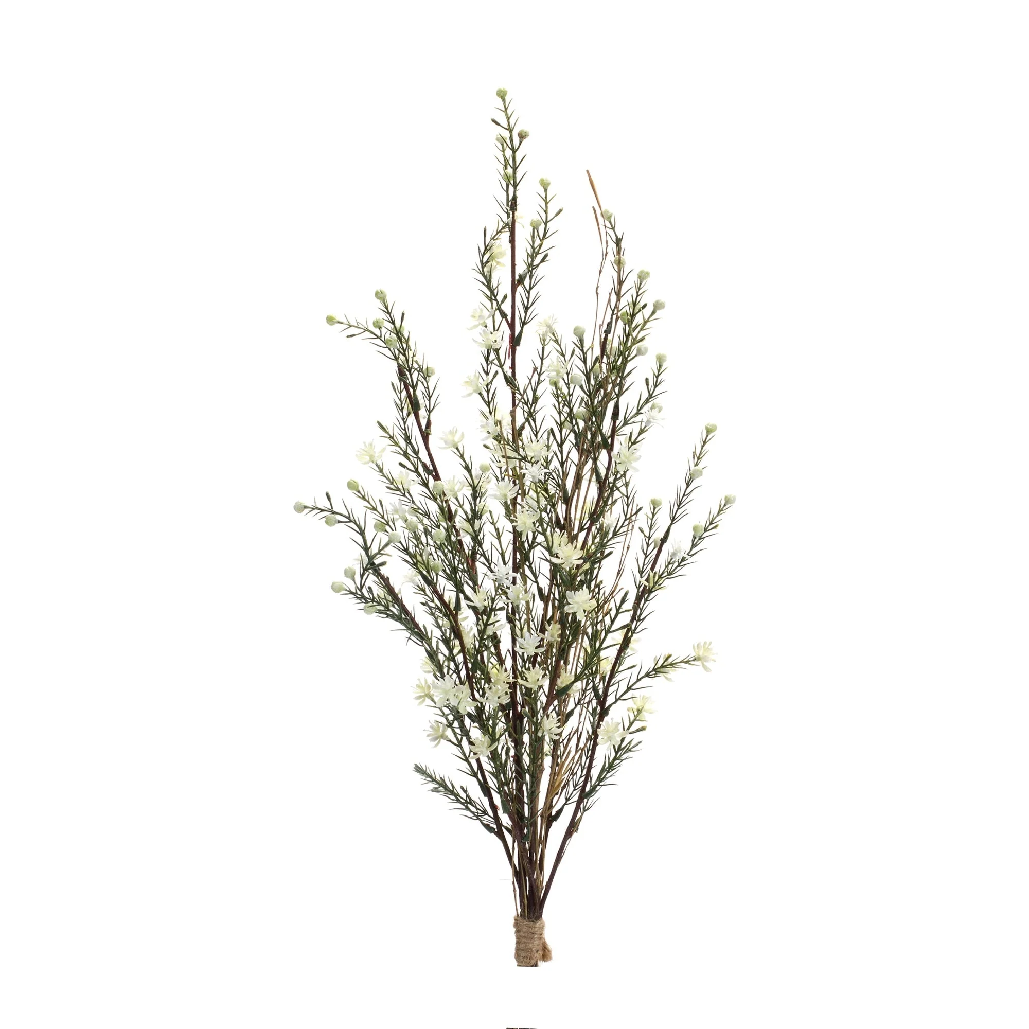 Leptospermum bundle (set of 6) - Image 2