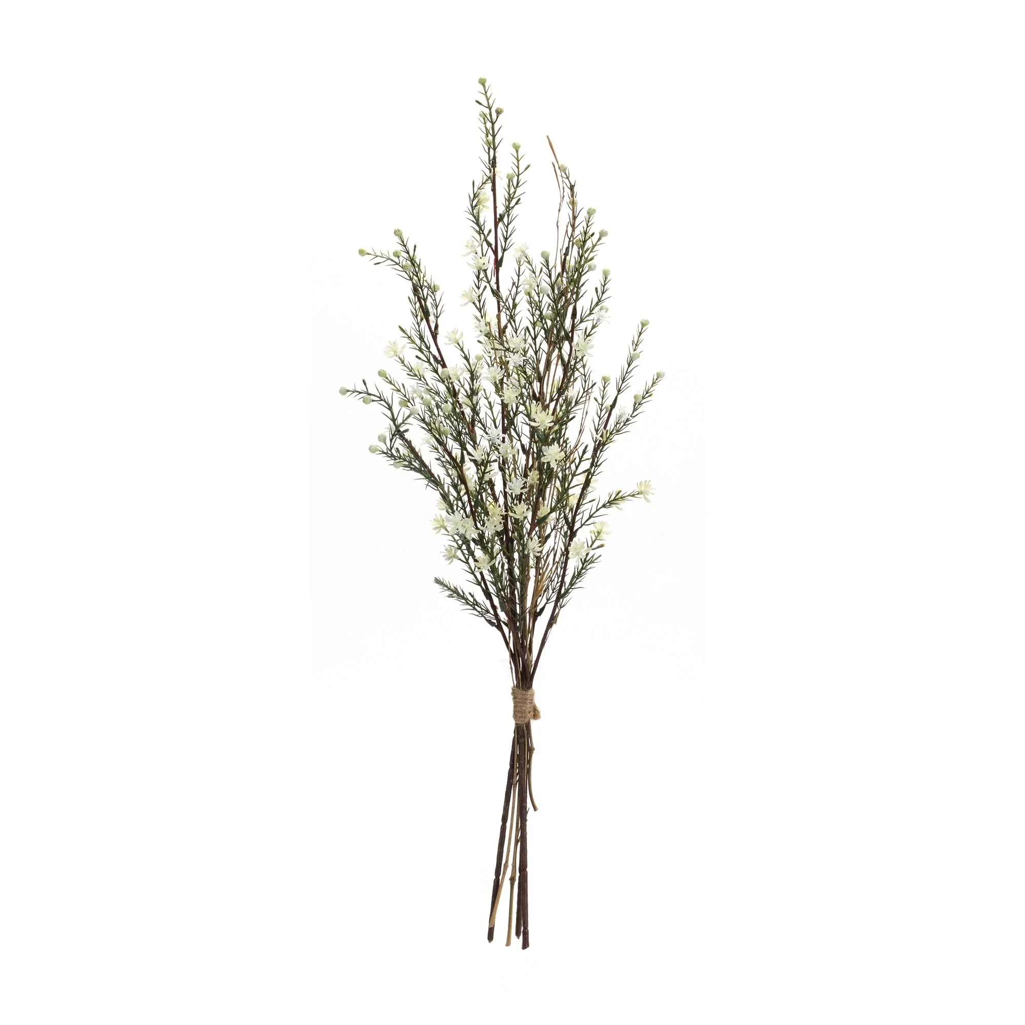 Leptospermum bundle (set of 6) - Image 3