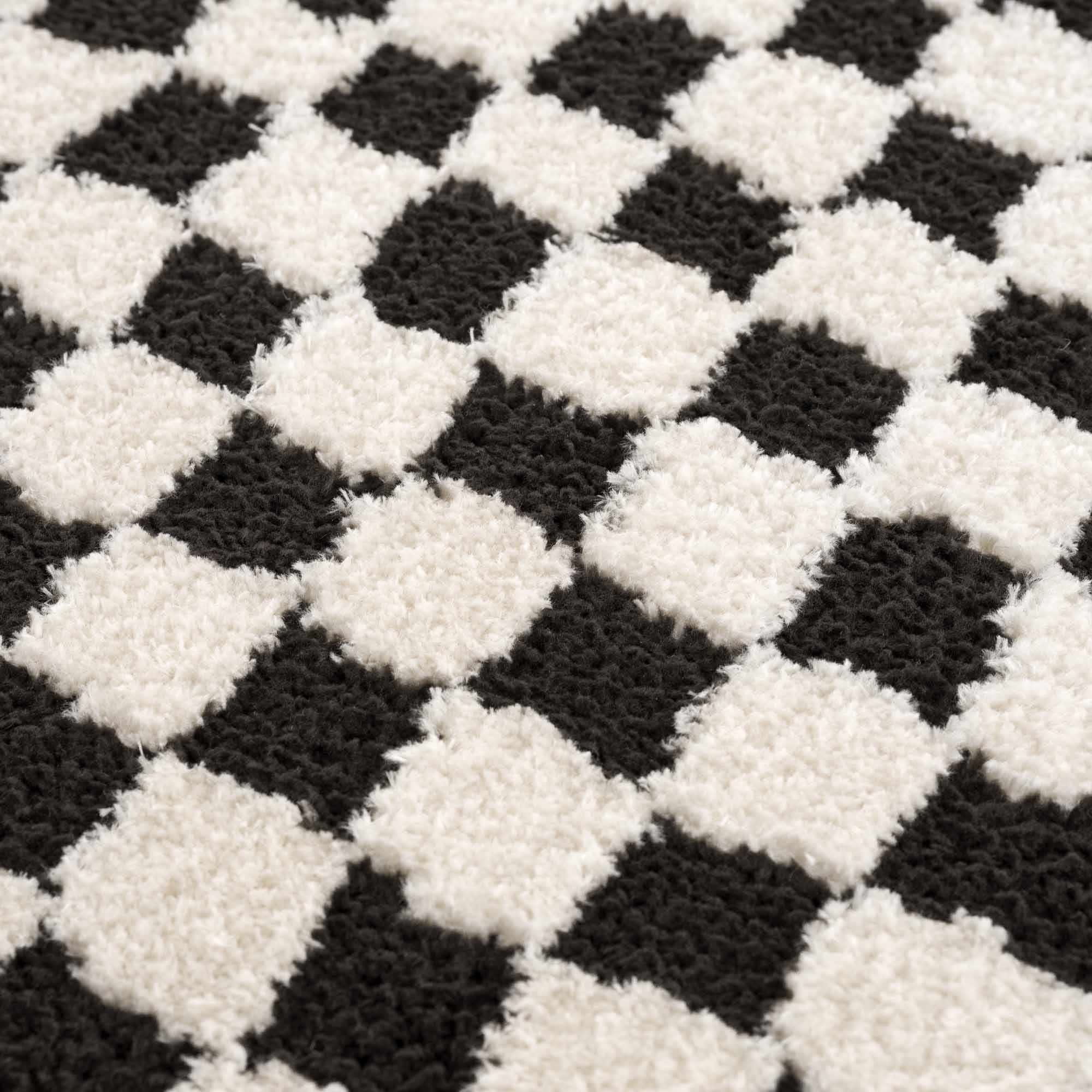 Leryn Black & White Checkered Area Rug - Image 16