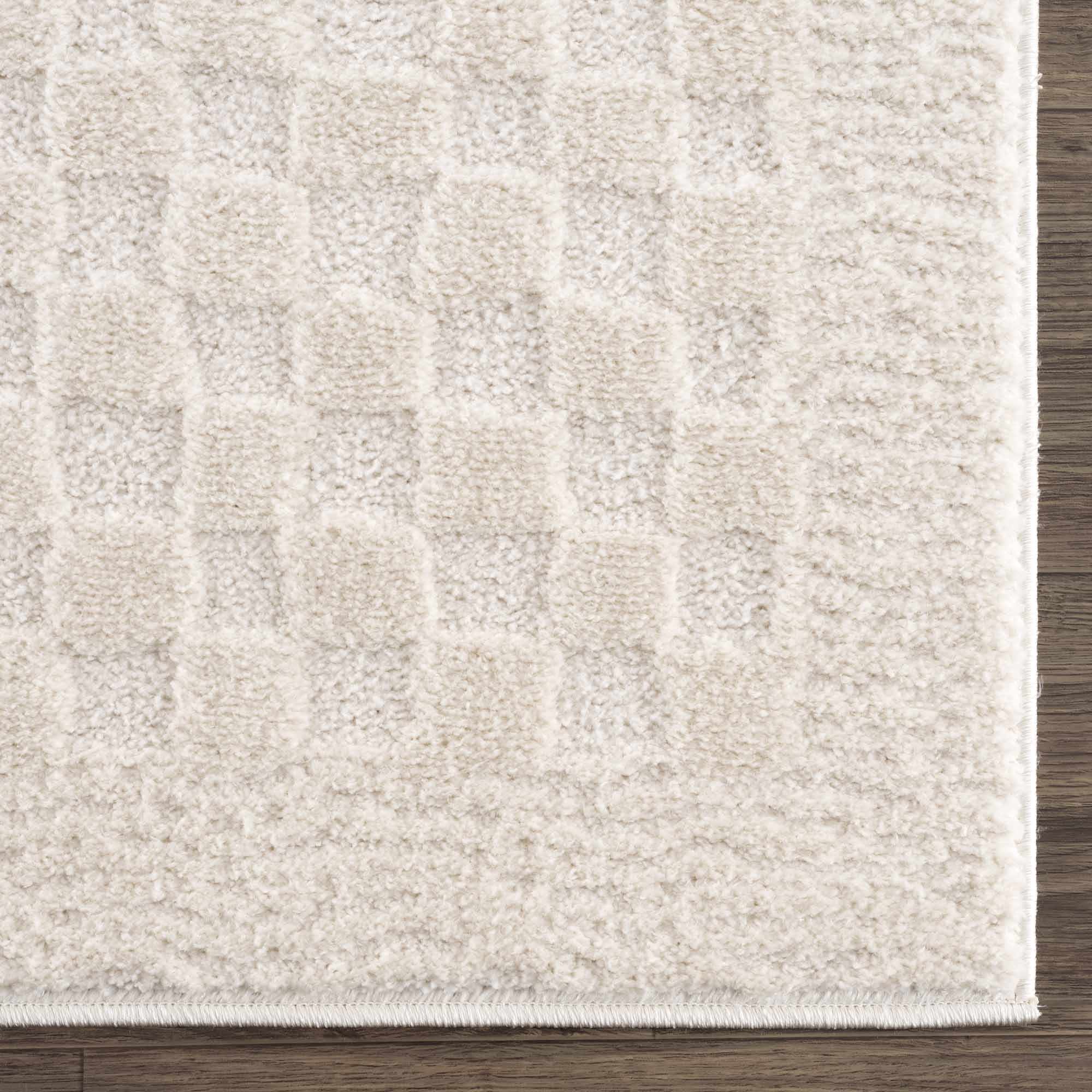 Leryn Ivory Checkered Area Rug - Image 8