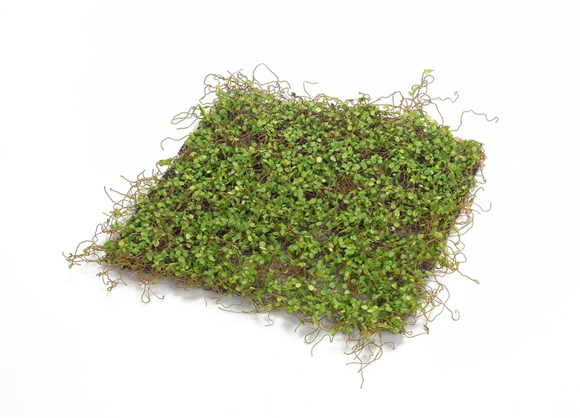 Lifelike Moss Display Mat (Set of 12) - Image 2