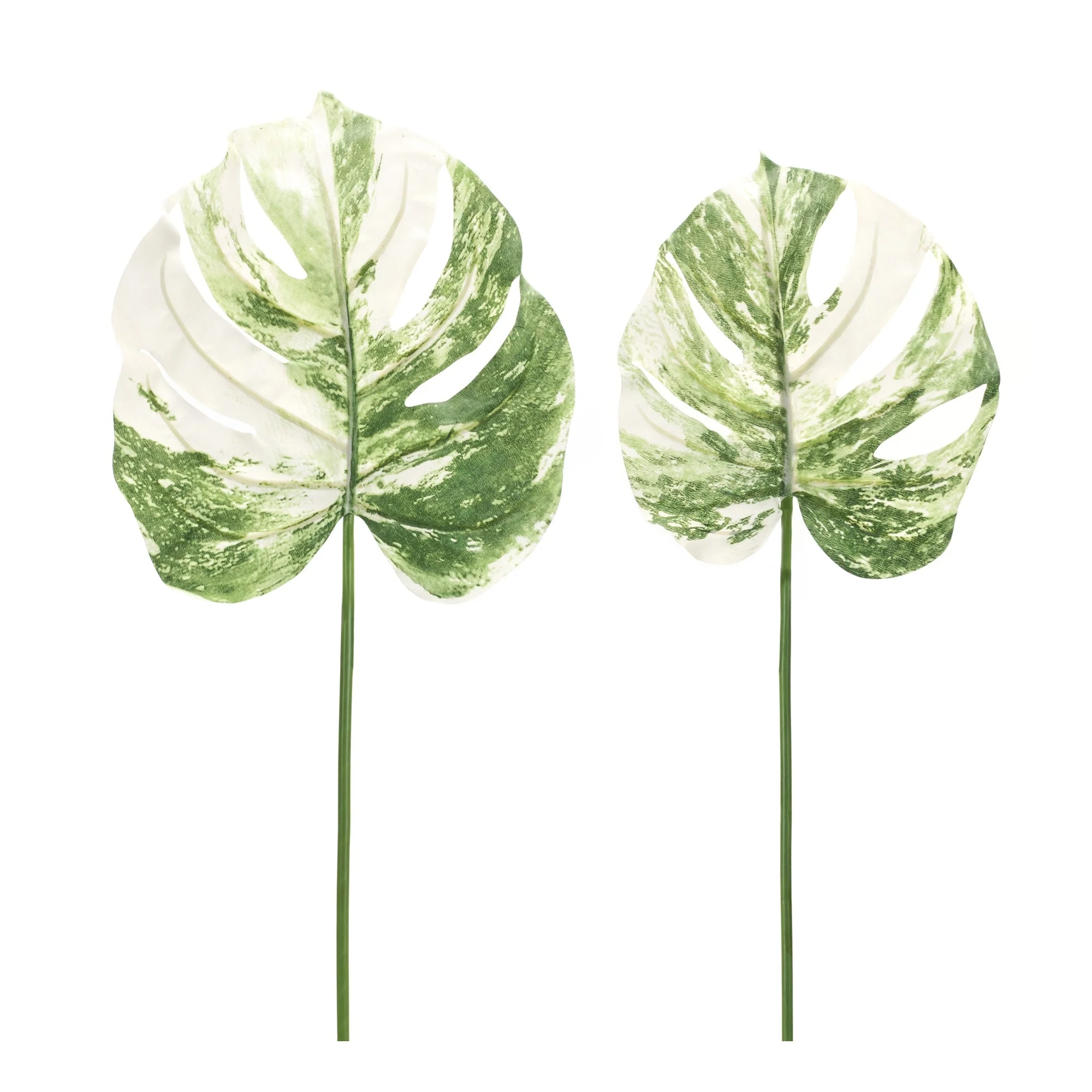 Light Varigated Philo Leaf Stem (Set of 12) - Image 2