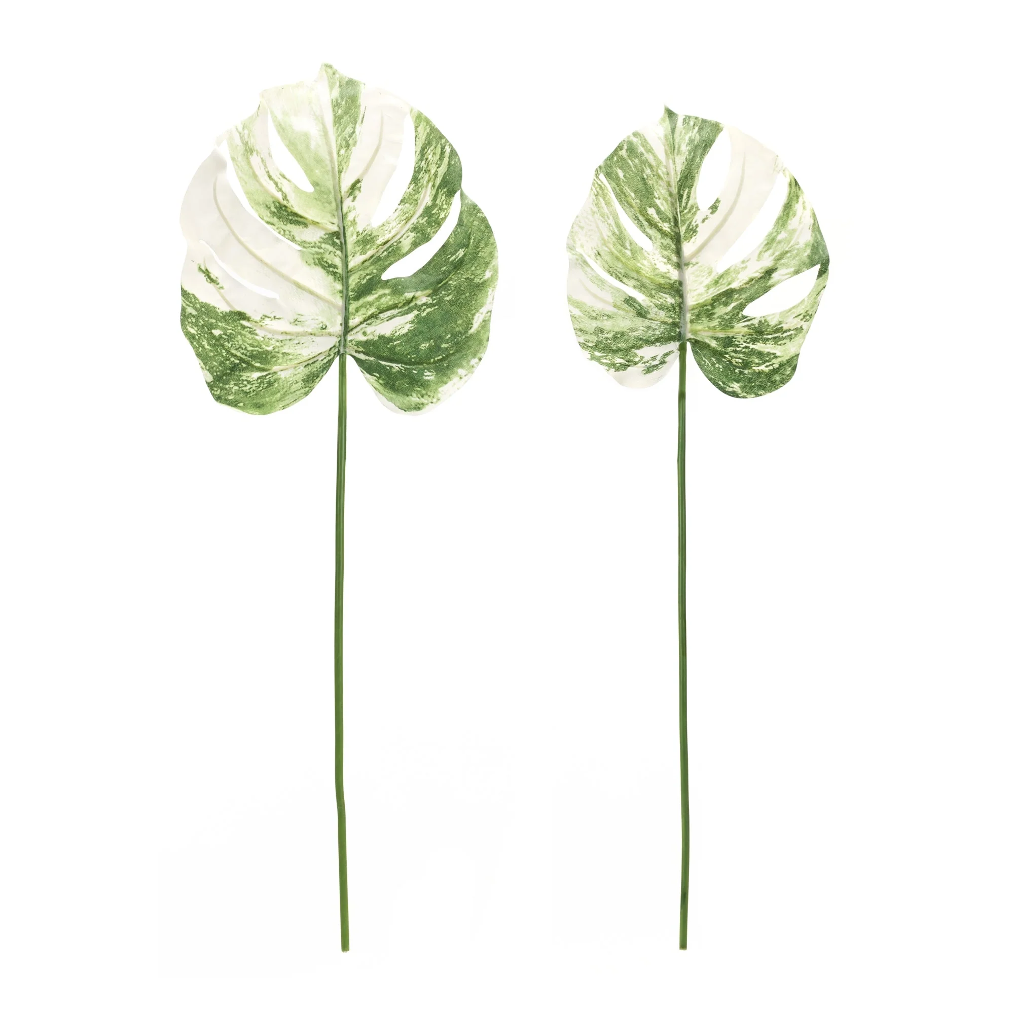 Light Varigated Philo Leaf Stem (Set of 12) - Image 3