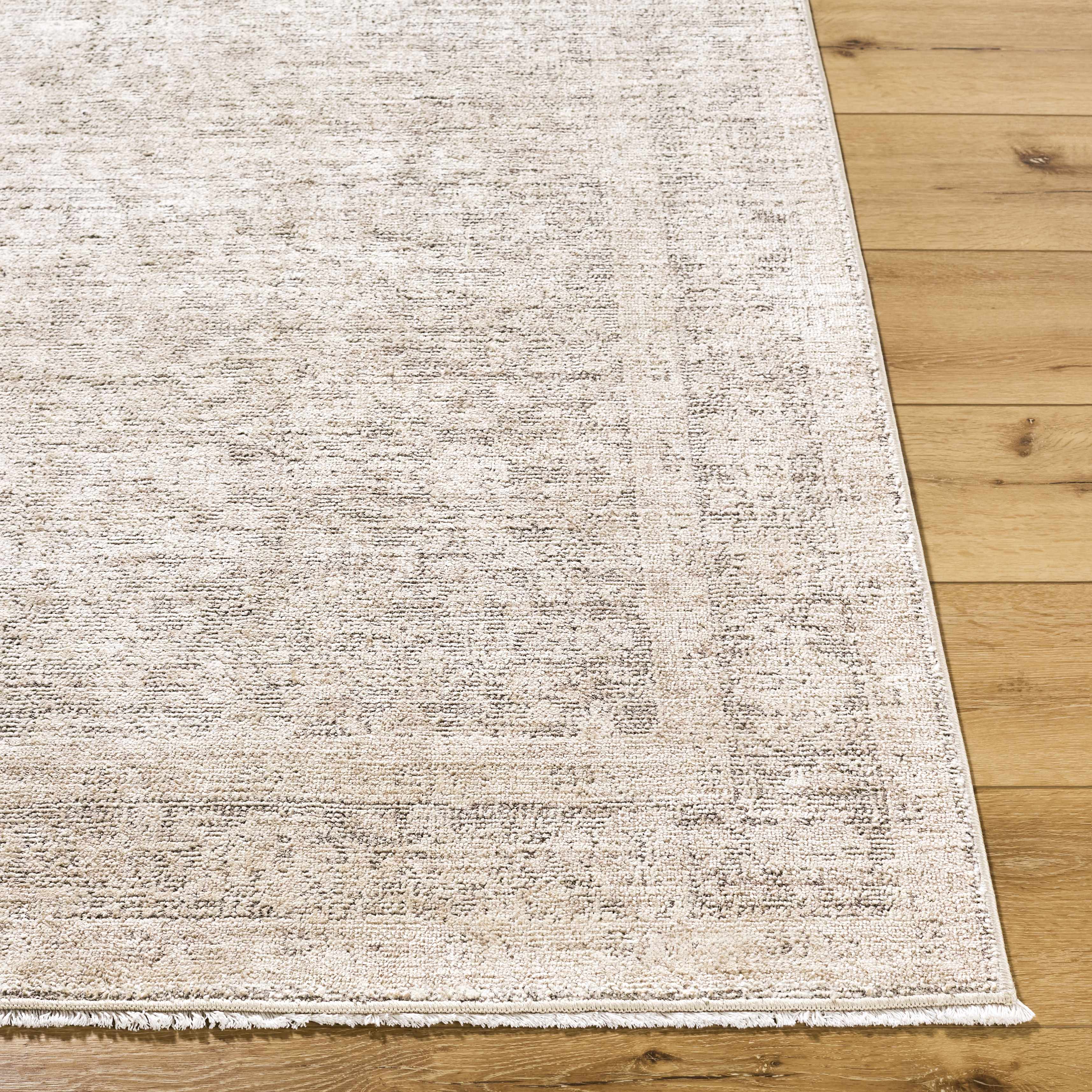 Livabliss x Galey Alix Maria Elena V Vintage Medallion Area Rug - Image 4