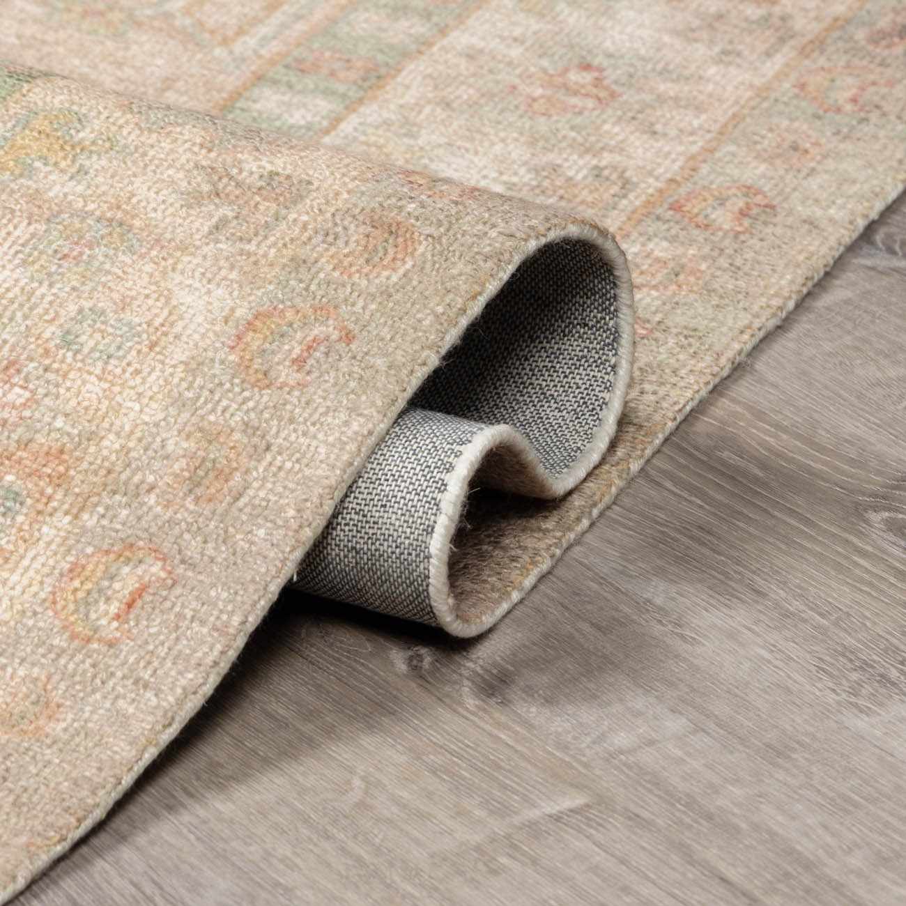 Luciana II Traditional Medallion Area Rug - Image 6
