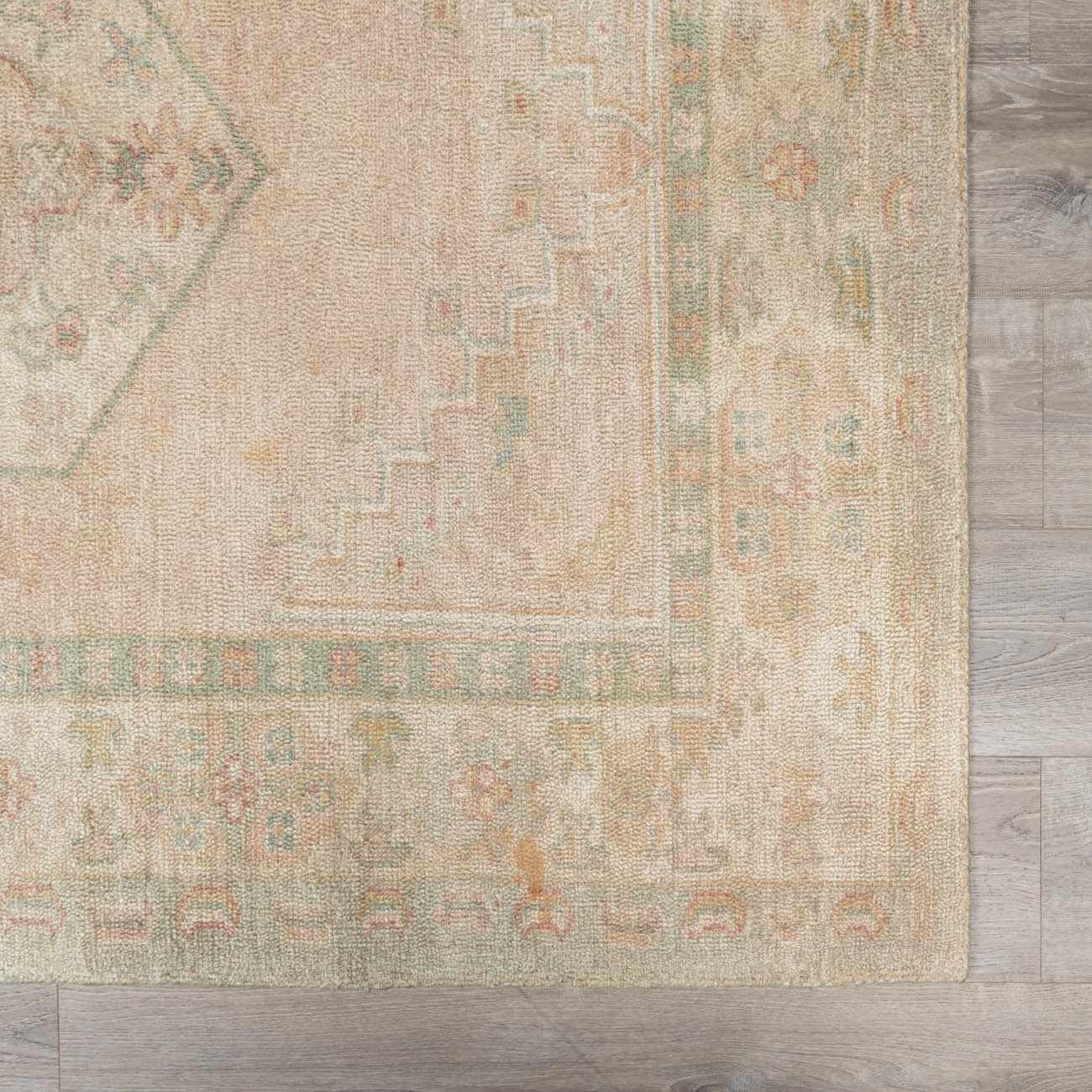 Luciana II Traditional Medallion Area Rug - Image 7