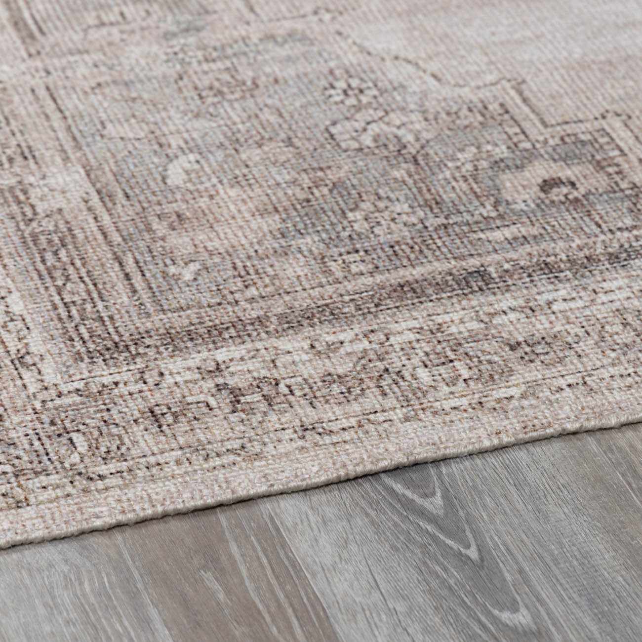 Luciana III Traditional Medallion Area Rug - Image 11