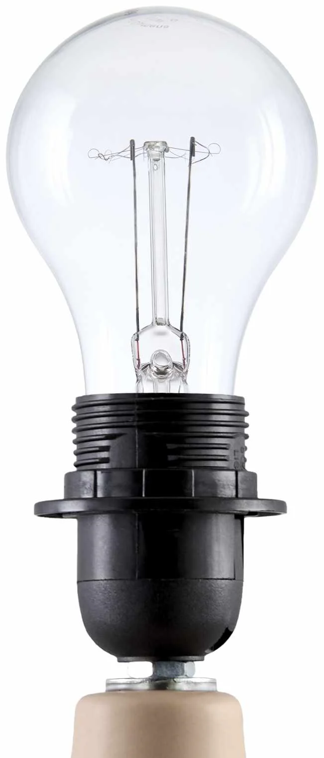 Lumellogno Coral Table Lamp - Image 5