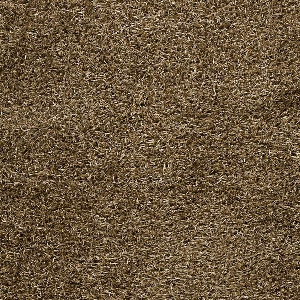 Lyles Area Carpet - Clearance - Image 3