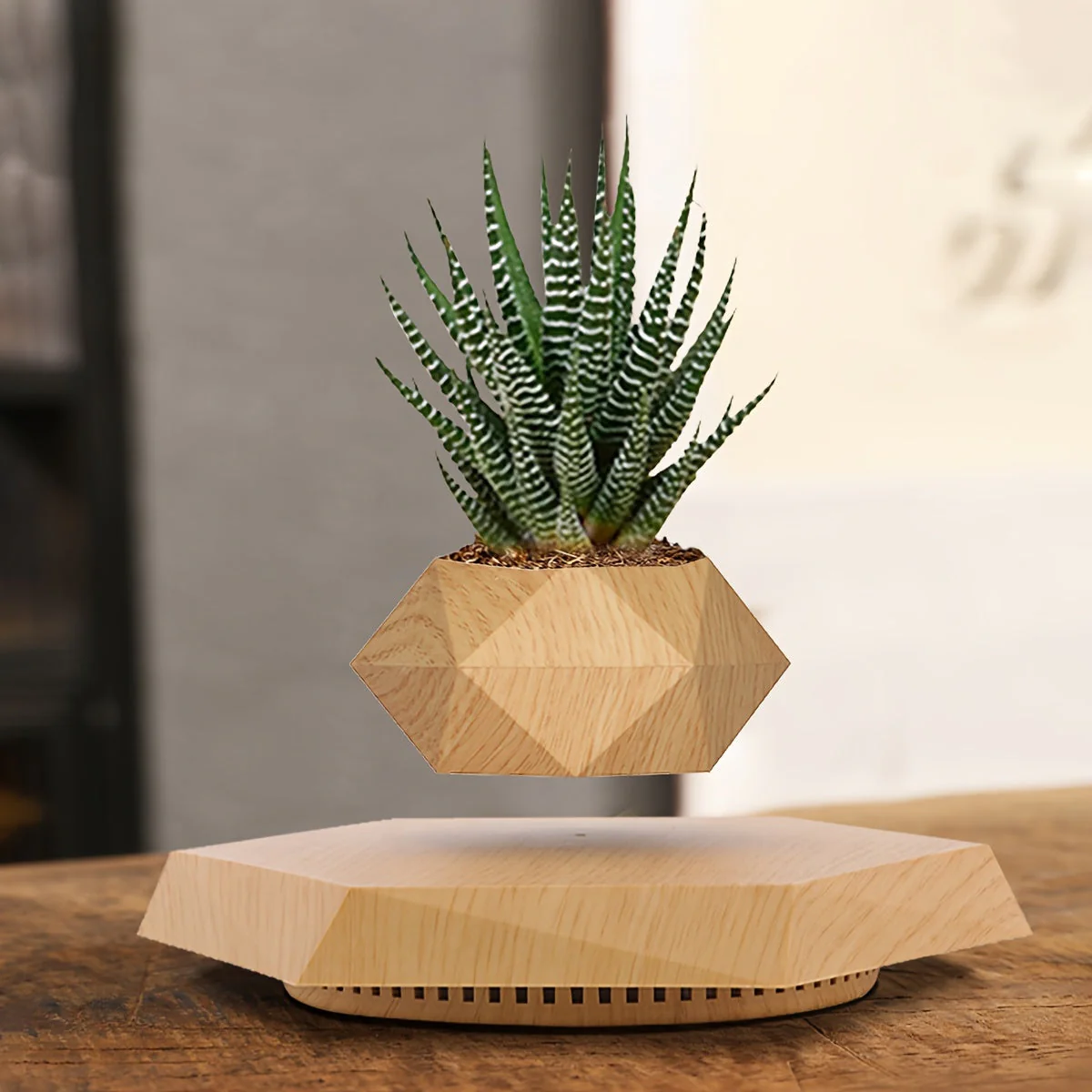 Magnetic Levitating Plant Pot – Rotating Floating Geometric Bonsai Planter Indoor - Image 12