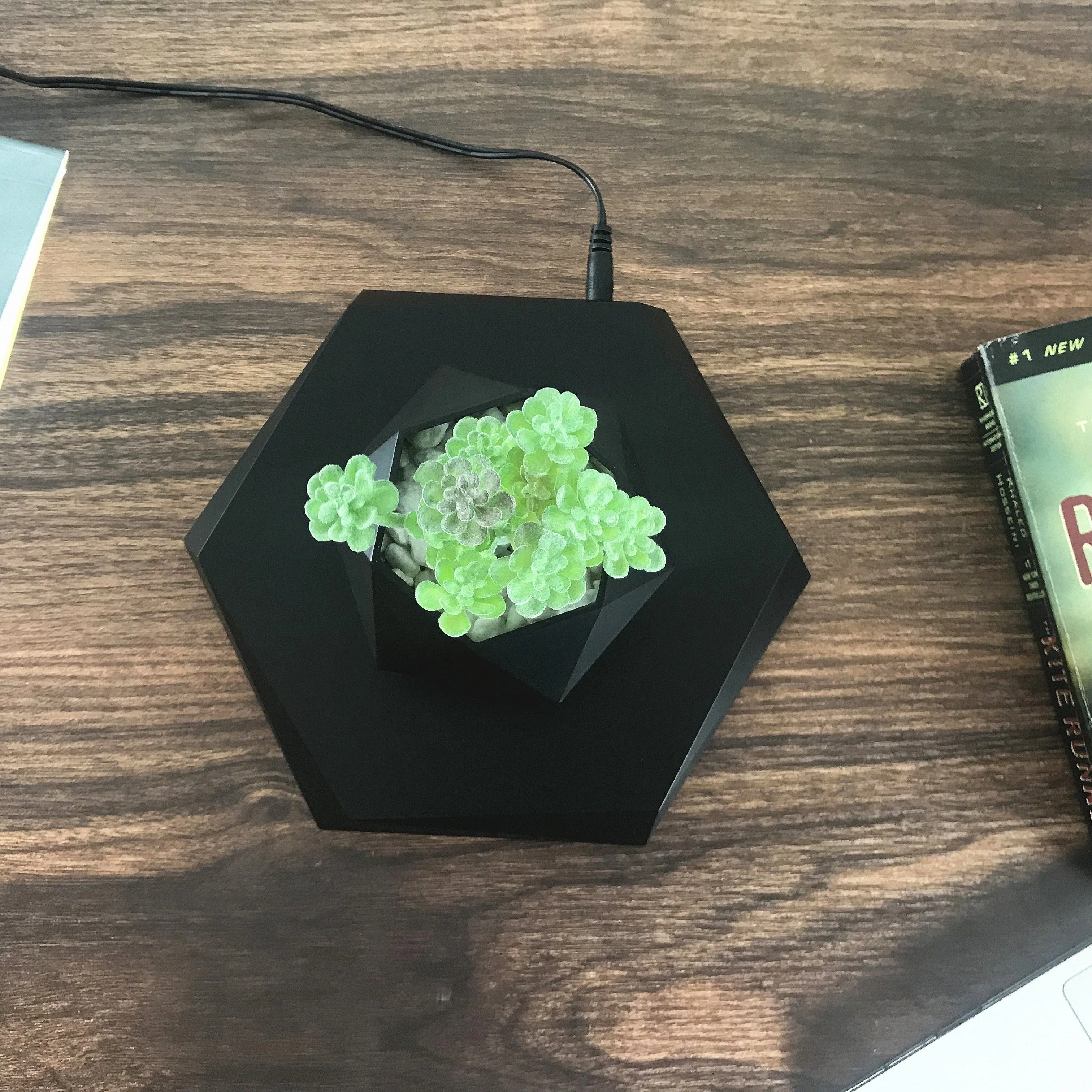 Magnetic Levitating Plant Pot – Rotating Floating Geometric Bonsai Planter Indoor - Image 5