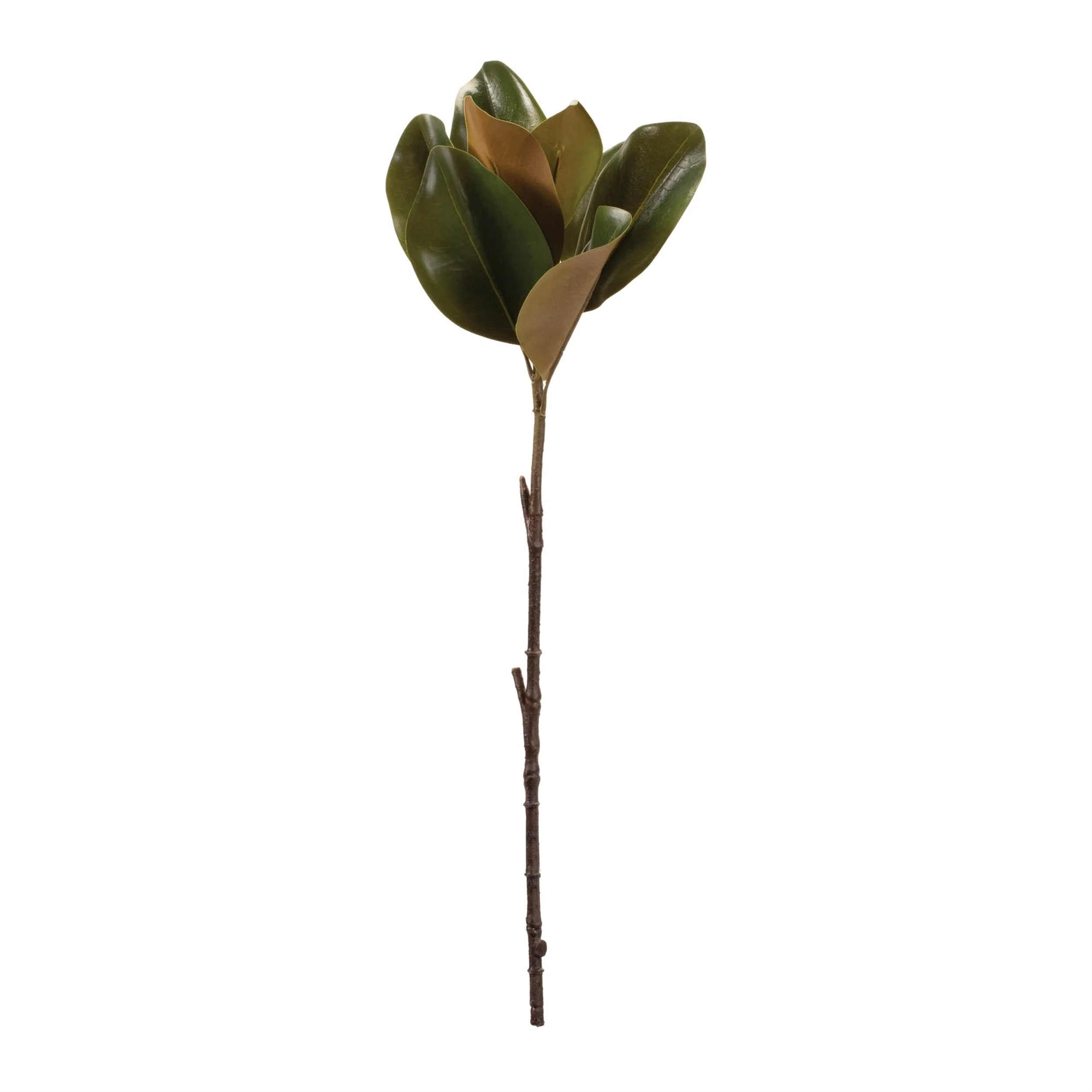 Magnolia Leaf Spray (Set of 6) - Image 2