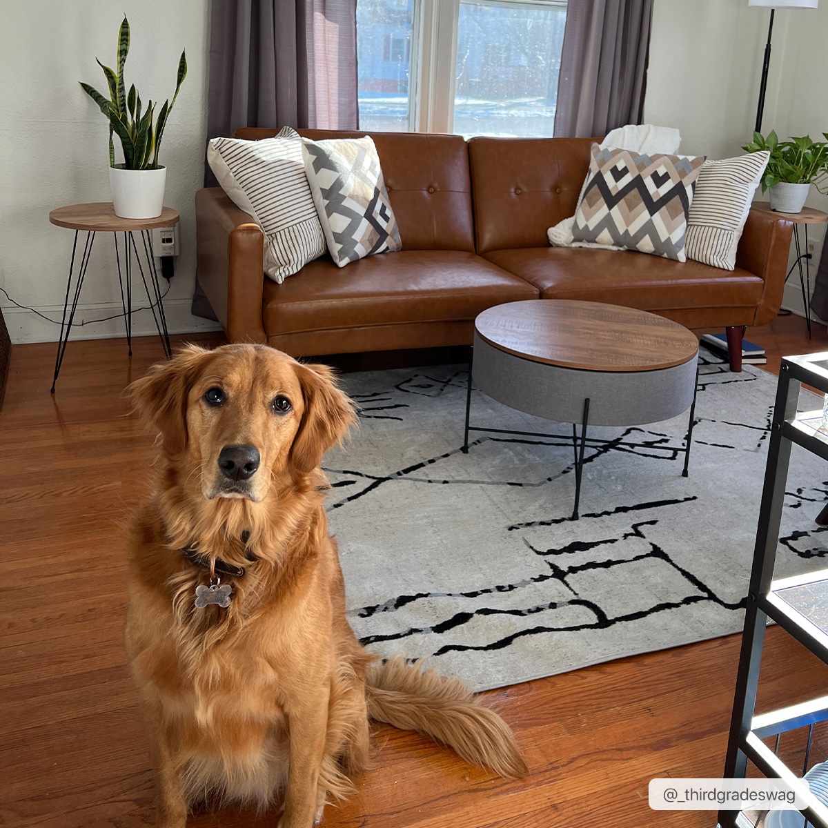 Maguyam Washable Area Rug - Clearance - Image 13