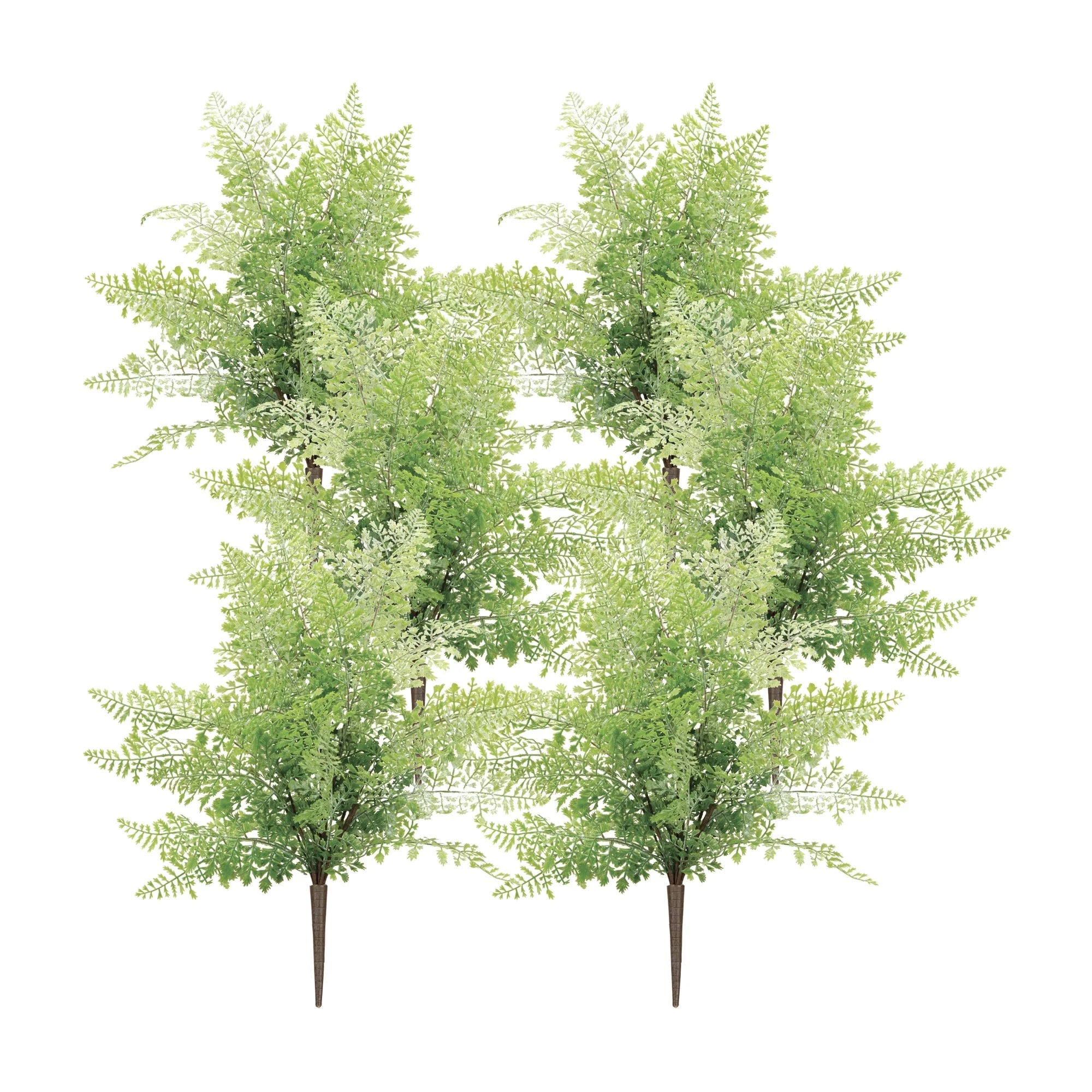 Maiden hair fern bush (set of 6)