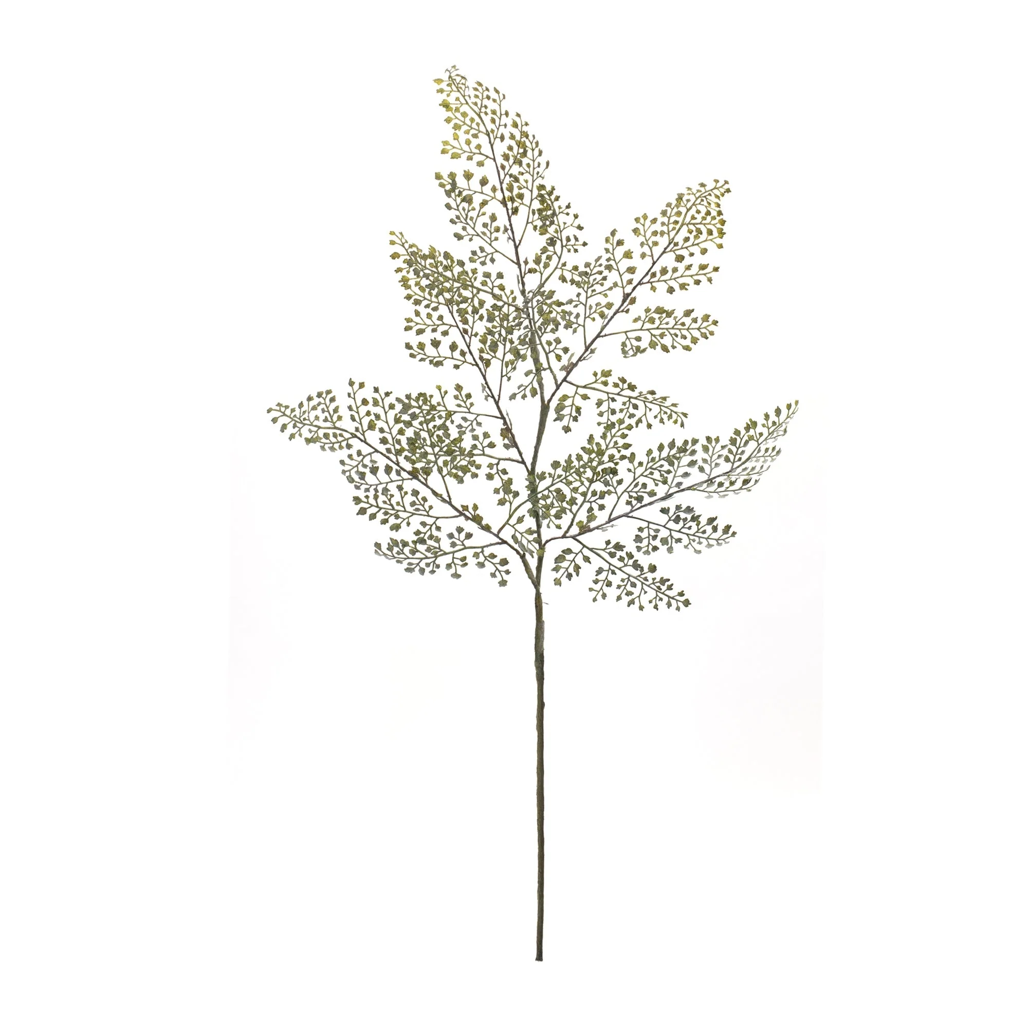 Maiden Hair Fern Foliage Spray (Set of 6) - Image 3