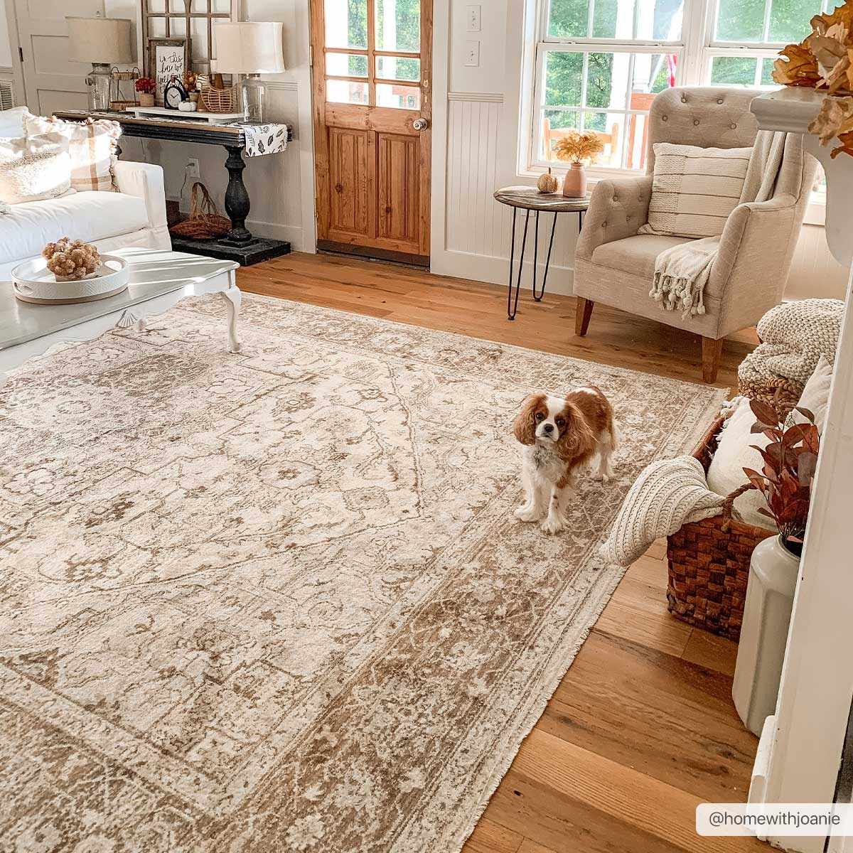 Malcolm  Area Rug - Clearance - Image 2