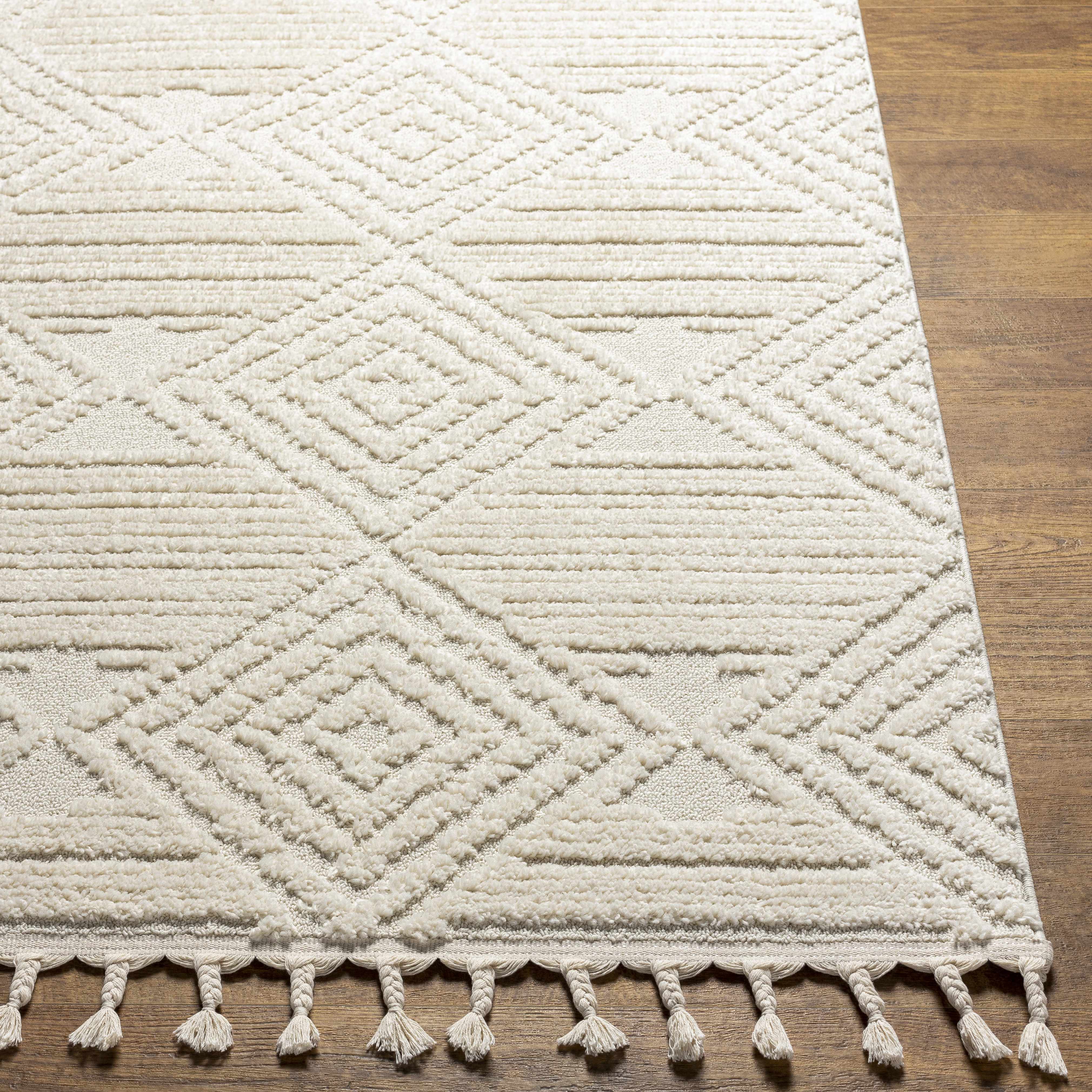 Manyas 3D Bone Area Rug with Tassels - Image 5