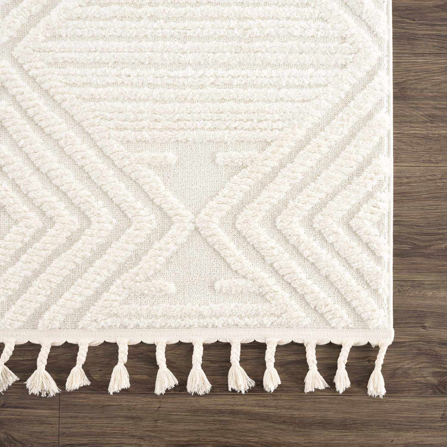 Manyas 3D Bone Area Rug with Tassels - Image 9