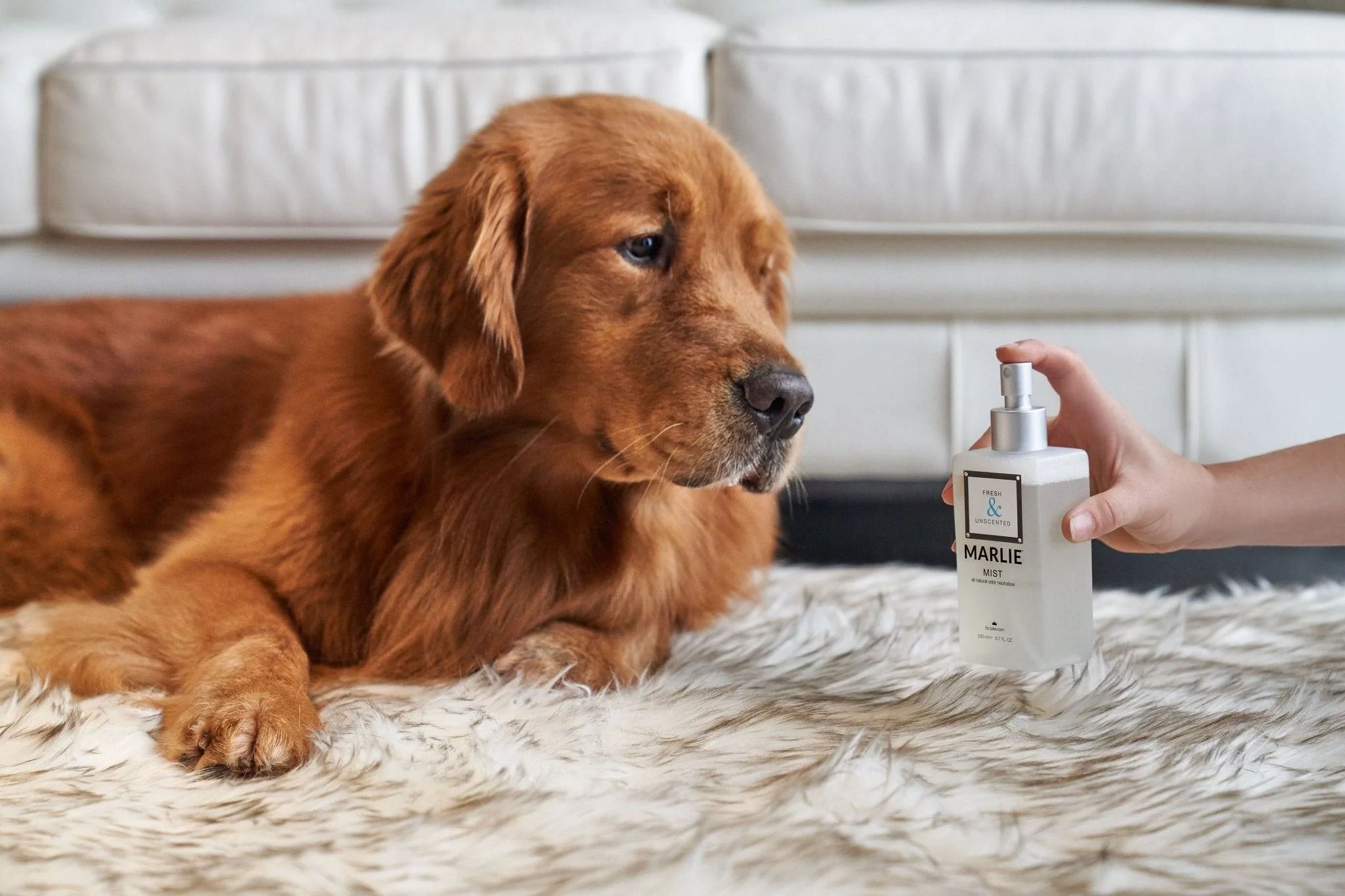 Marlie Mist Pet Odor Eliminator Spray with Essential Oils - Image 11