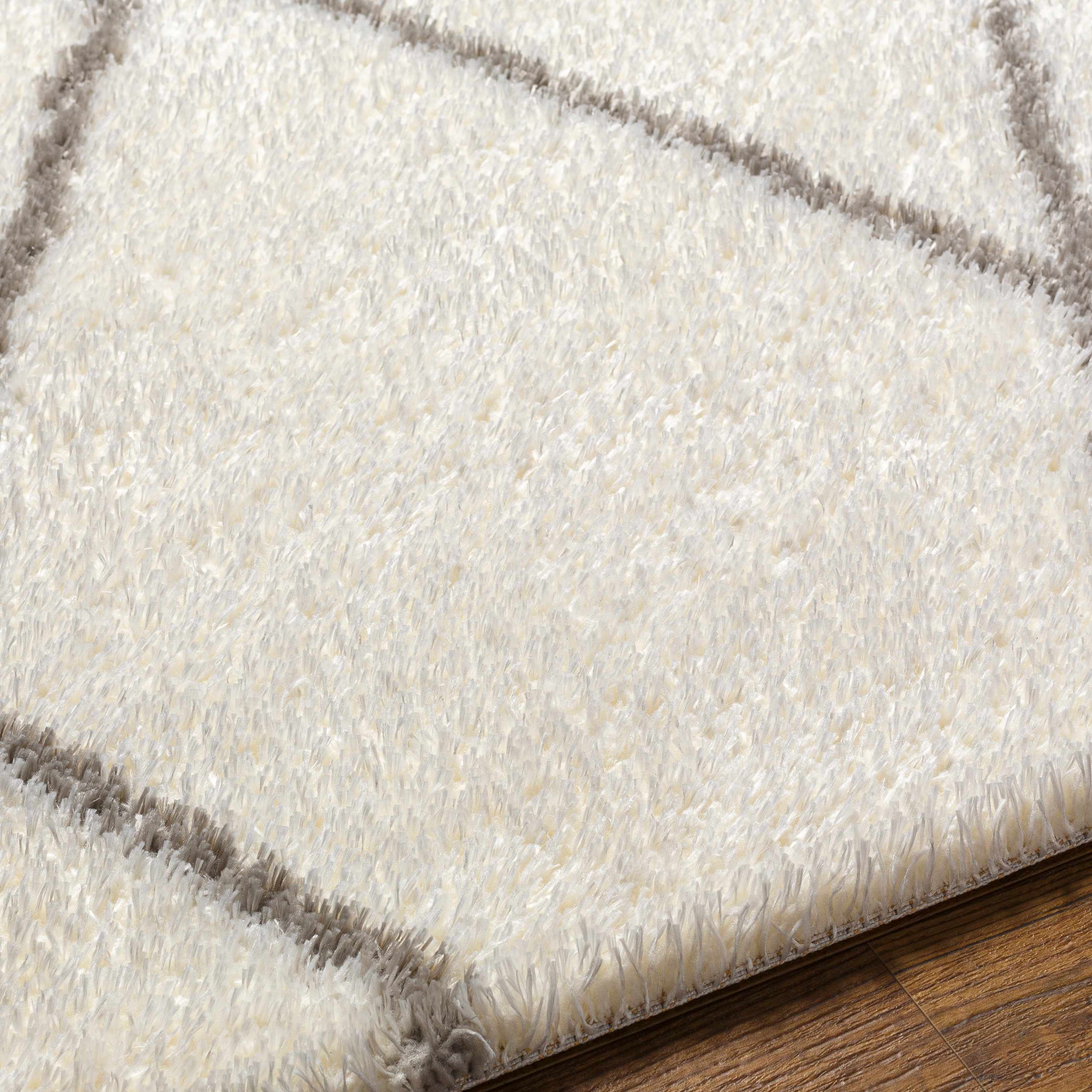 Maximiliano Area Rug - Image 4