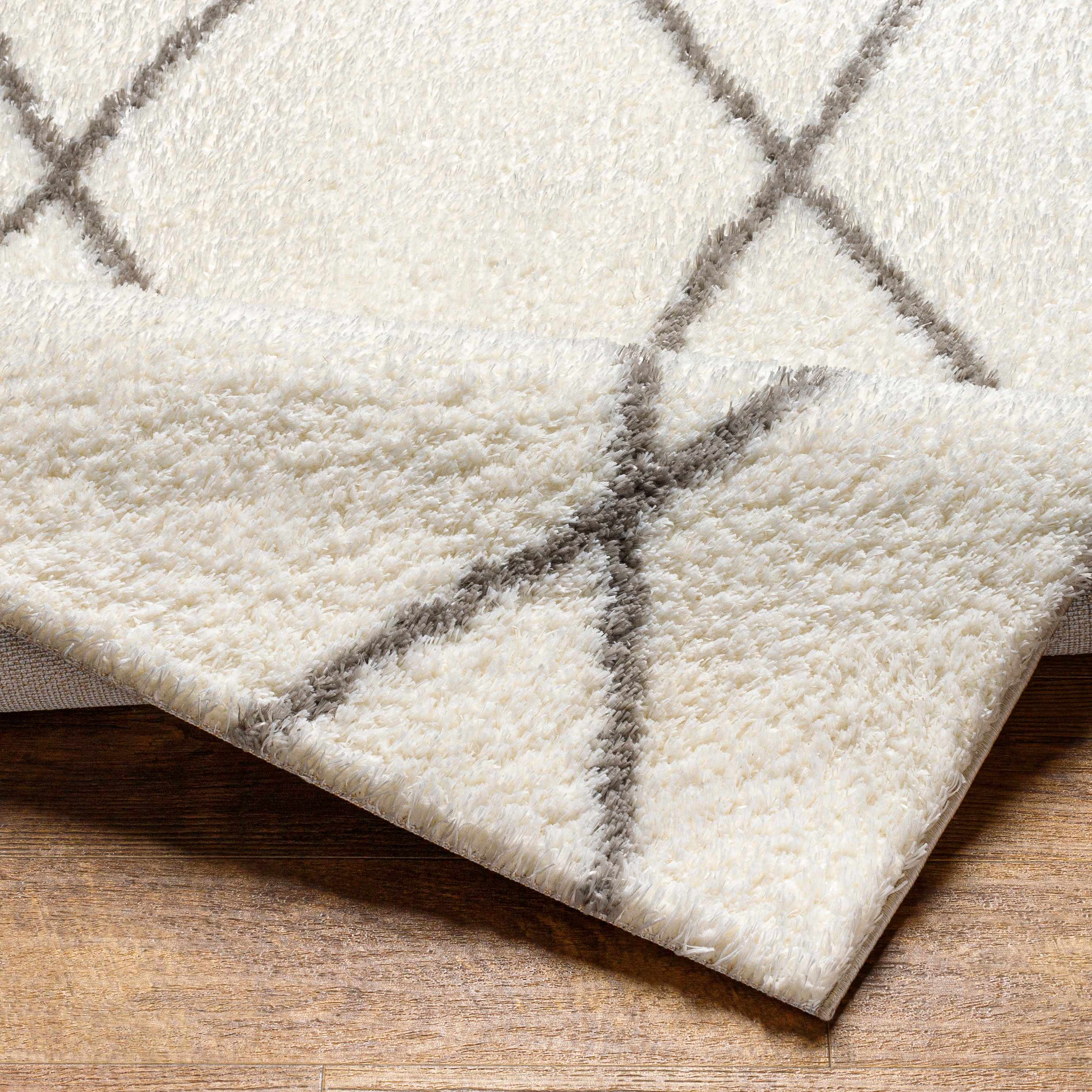 Maximiliano Area Rug - Image 5
