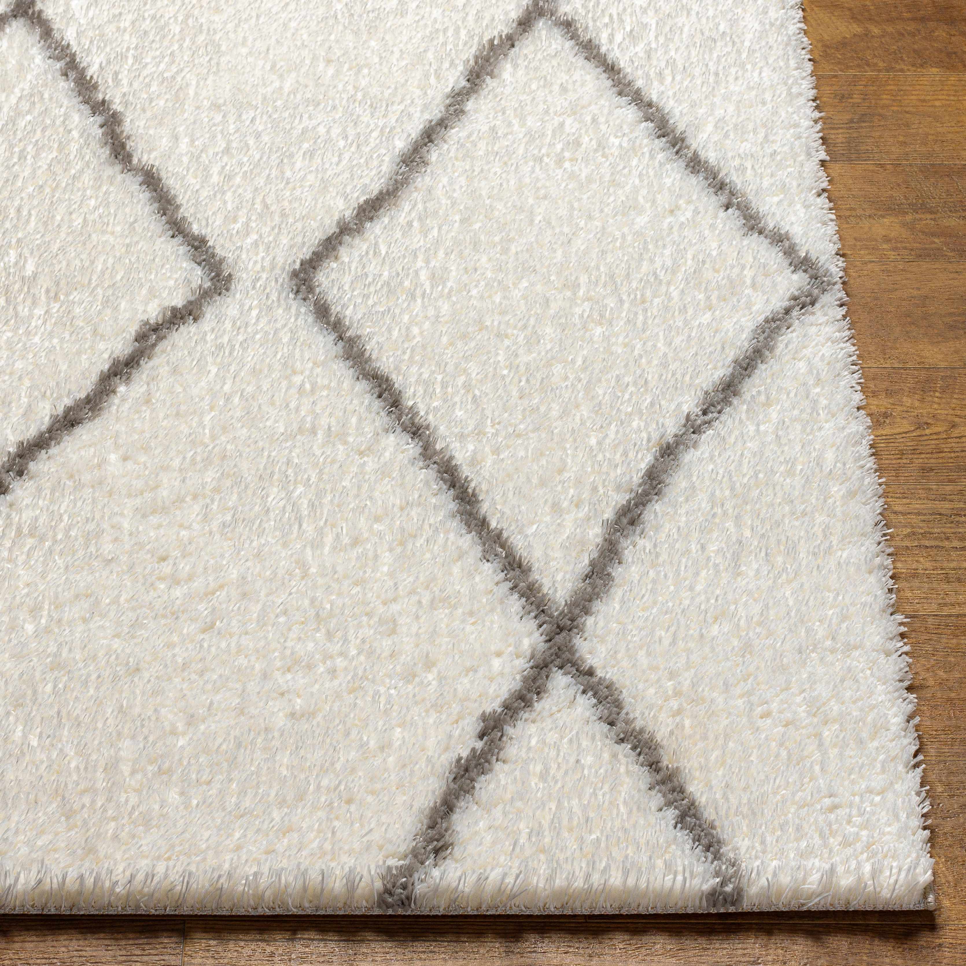 Maximiliano Area Rug - Image 7