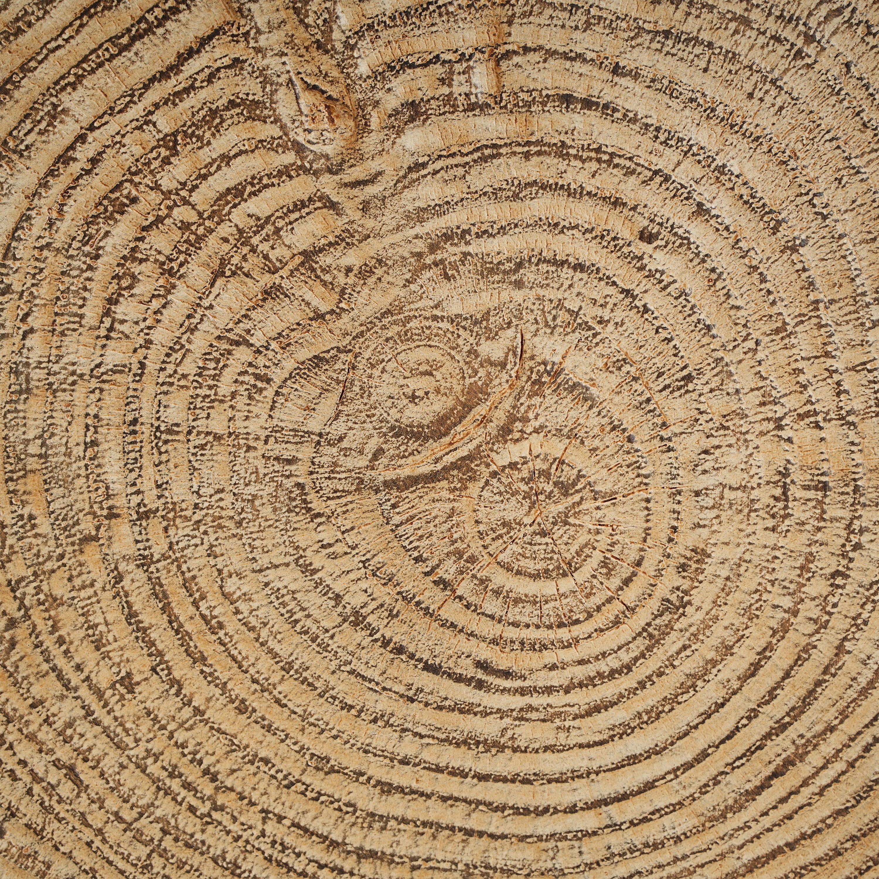 MGO Wood Grain Side Table - Natural - Image 8
