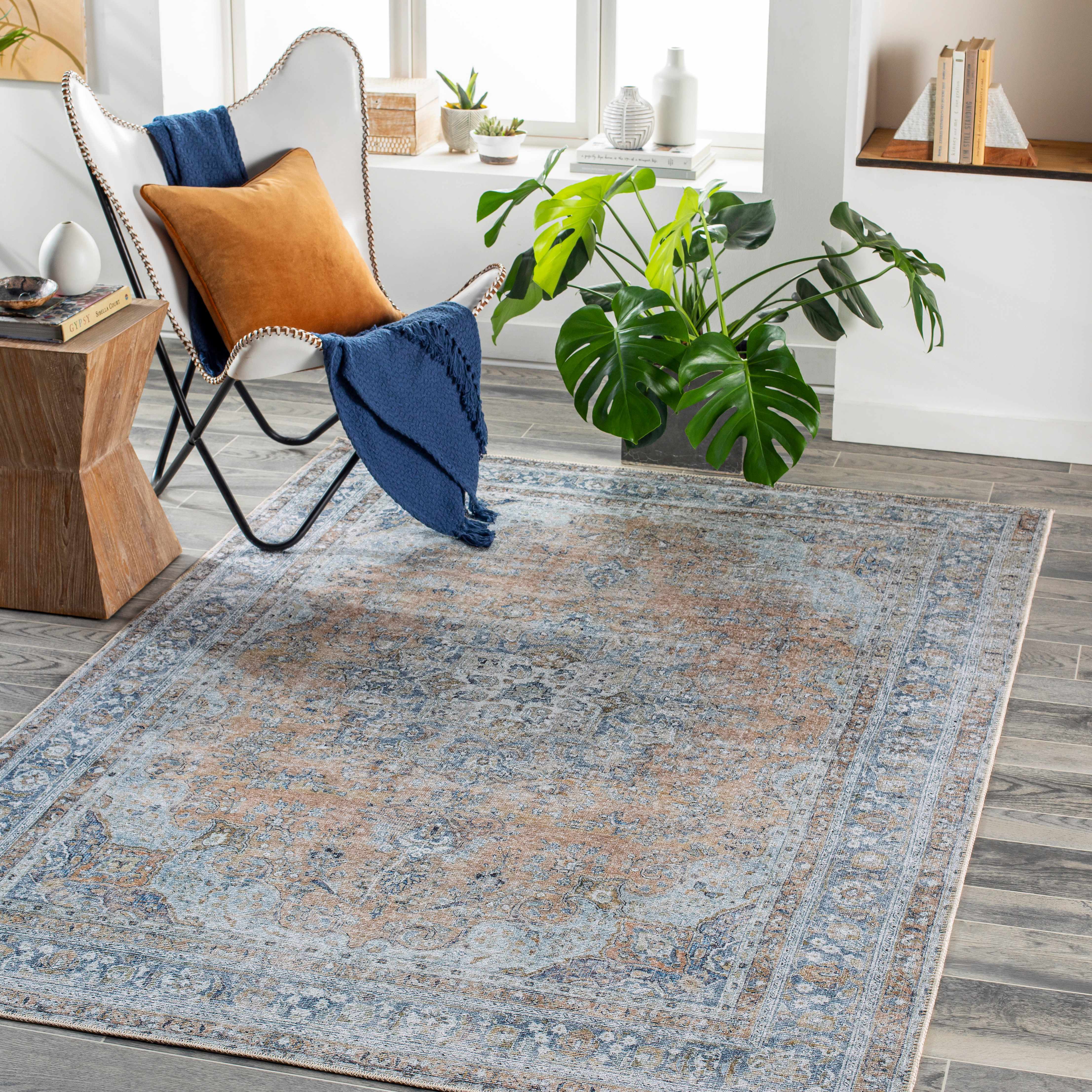 Mianay Washable Area Rug - Clearance - Image 2