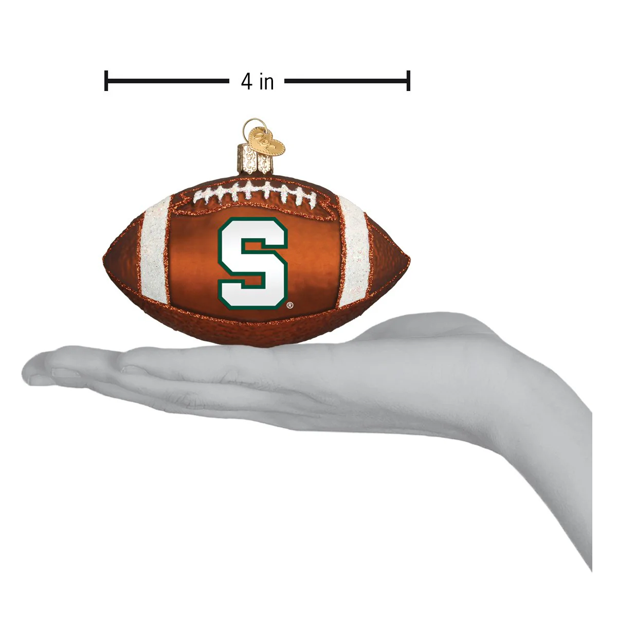 Michigan State Football - Image 4