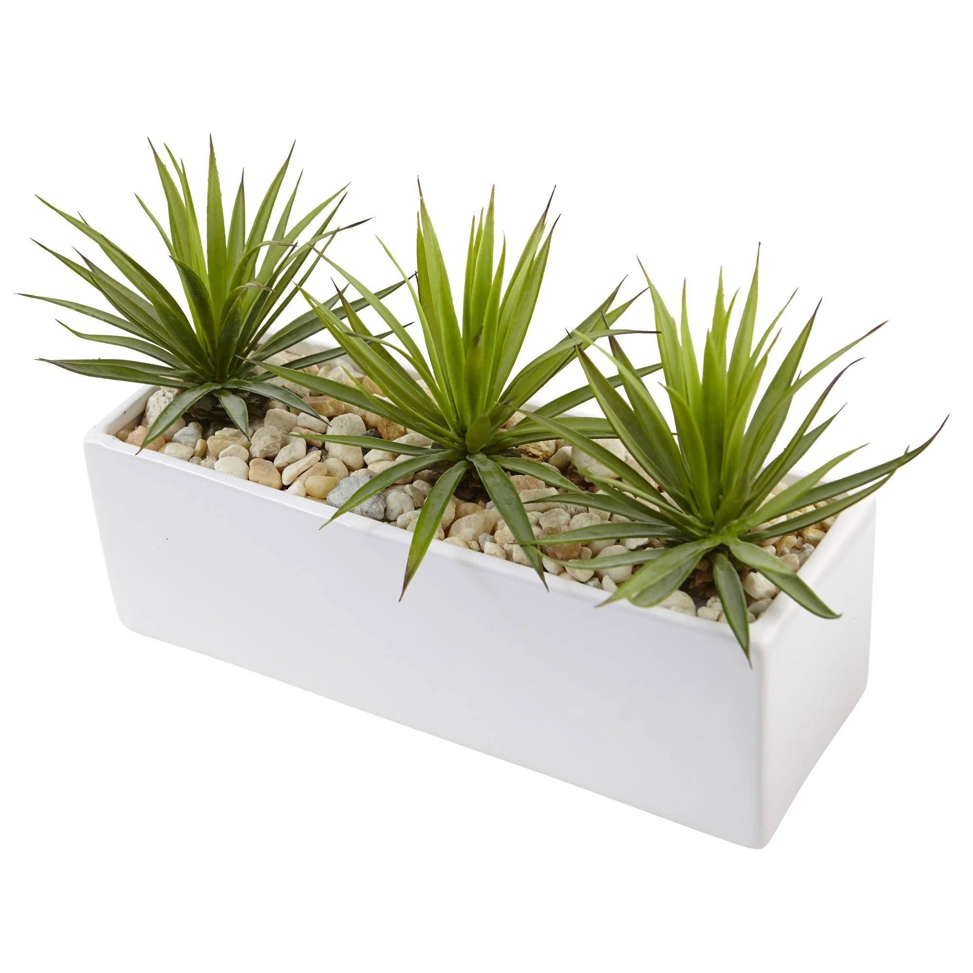Mini Agave in Rectangular Ceramic - Image 3