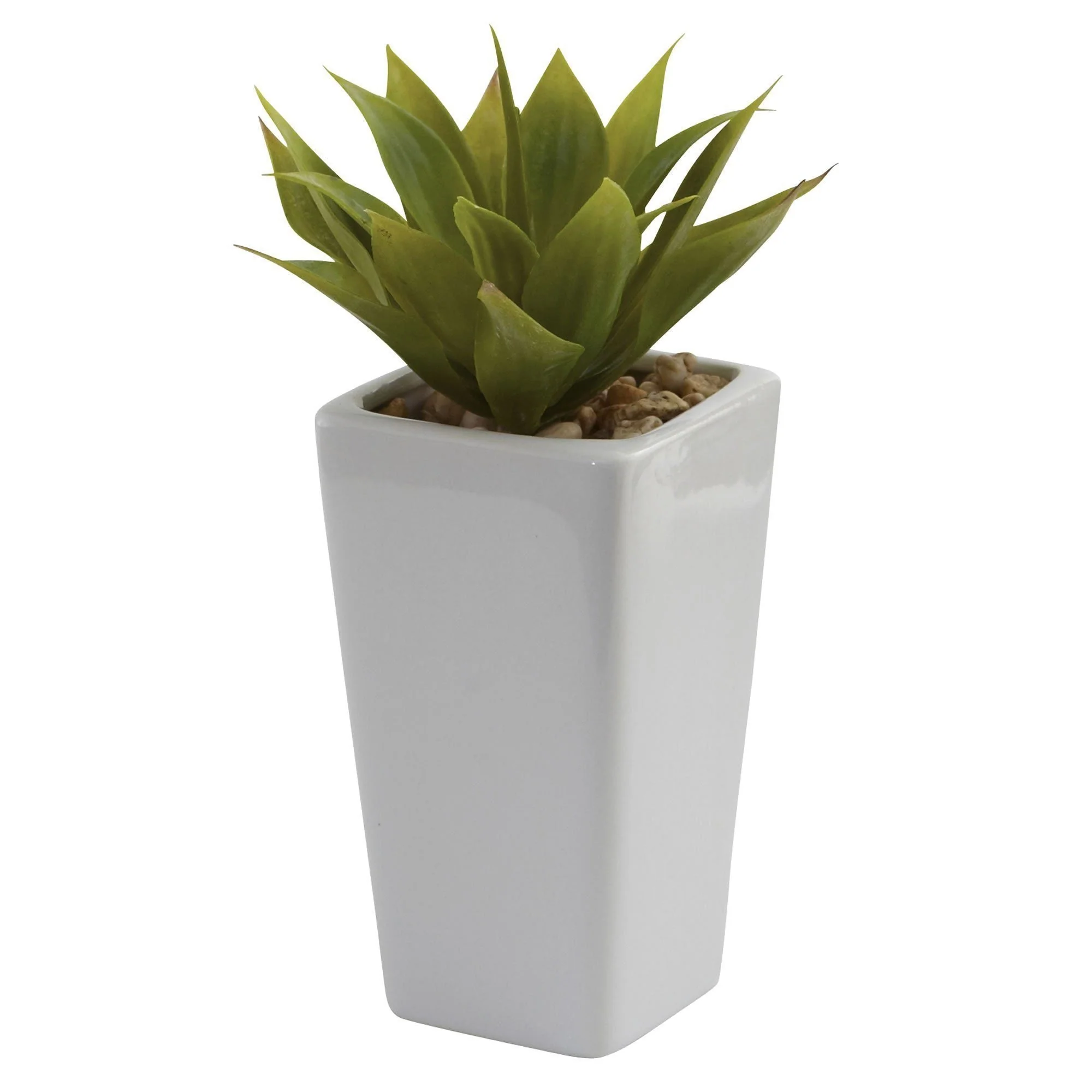 Mini Agave w/ Planter (Set of 3) White - Image 2
