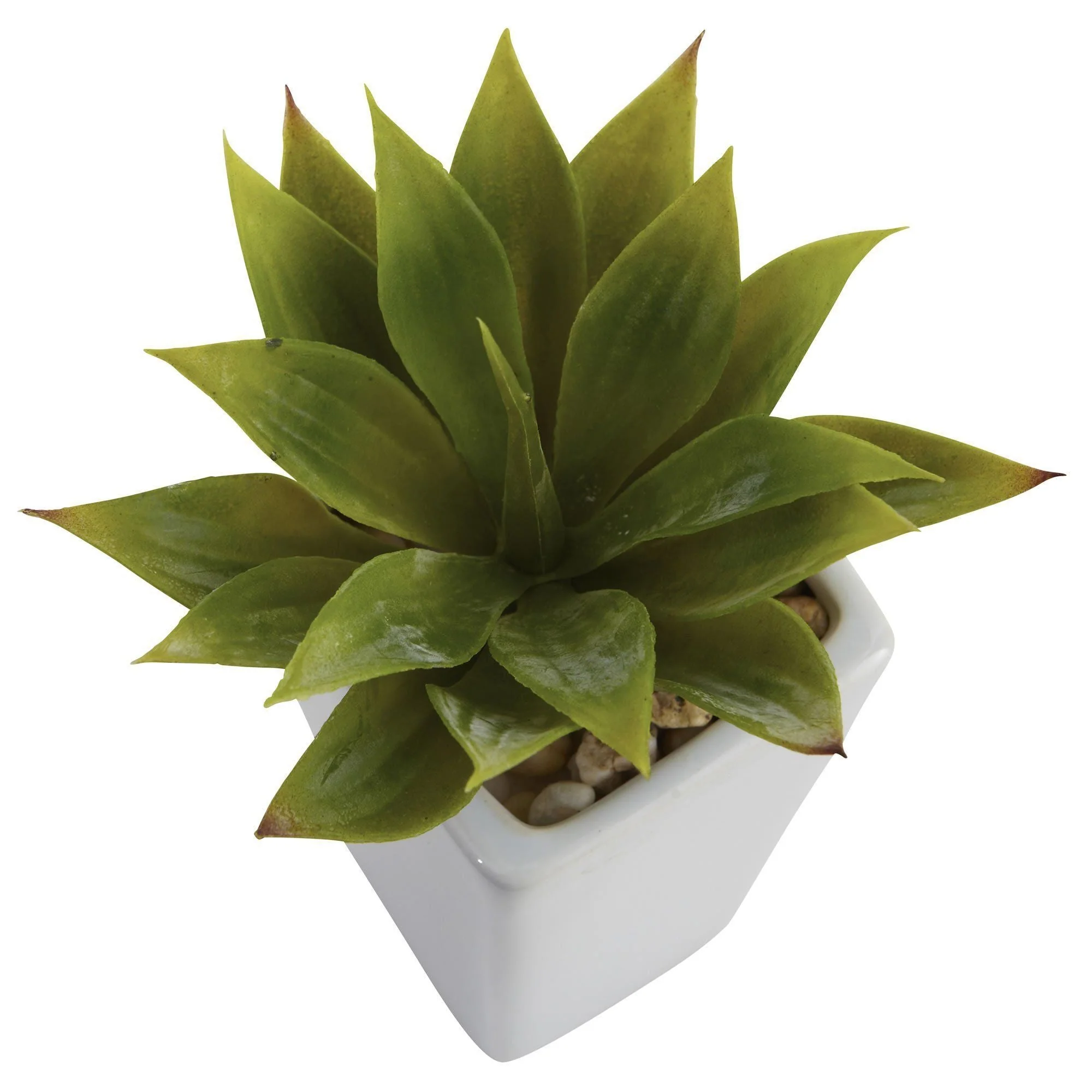 Mini Agave w/ Planter (Set of 3) White - Image 3