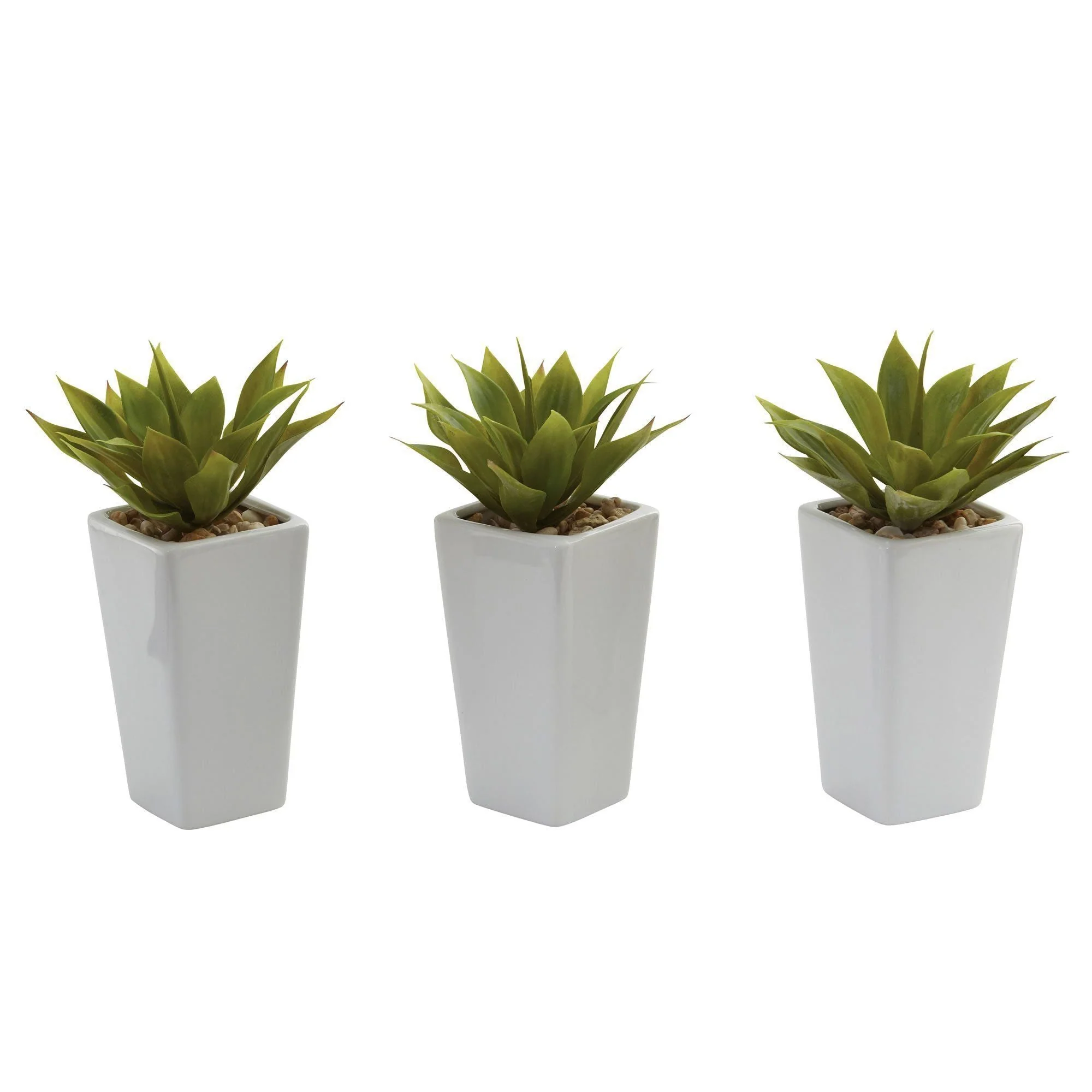 Mini Agave w/ Planter (Set of 3) White - Image 4